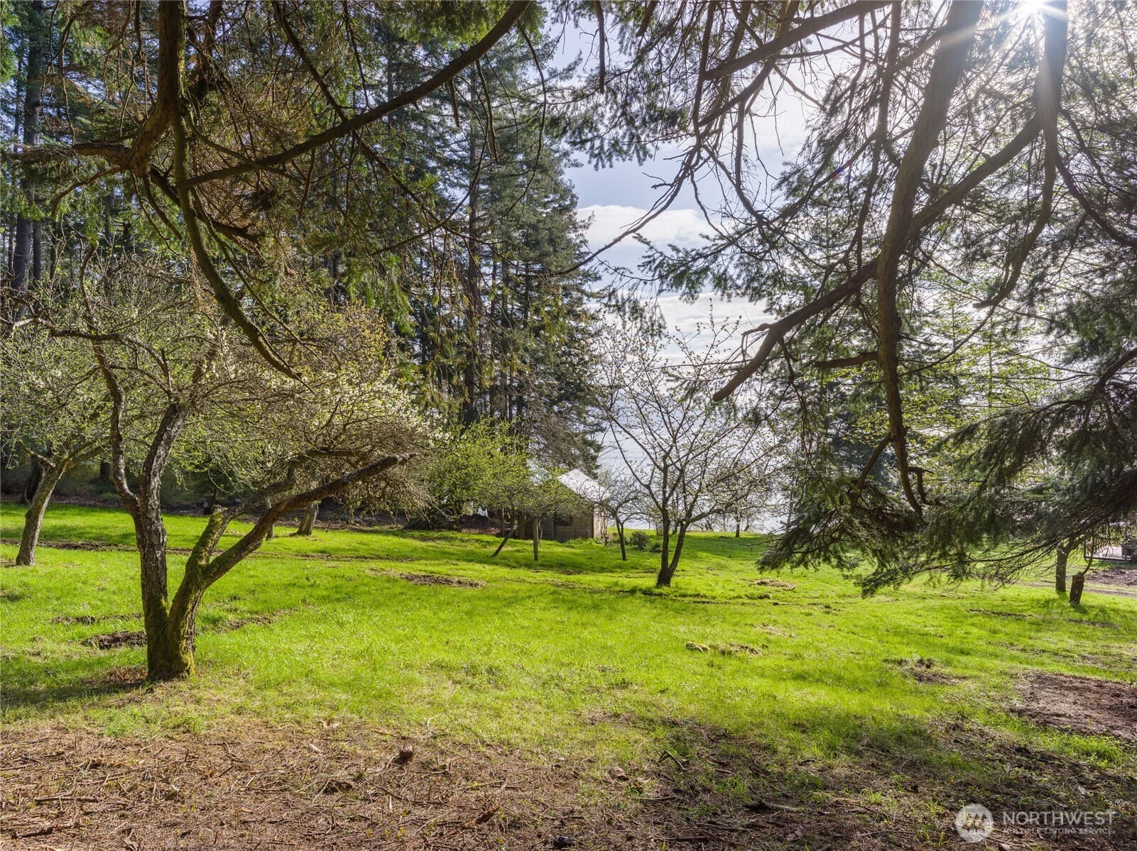 Property photo 31