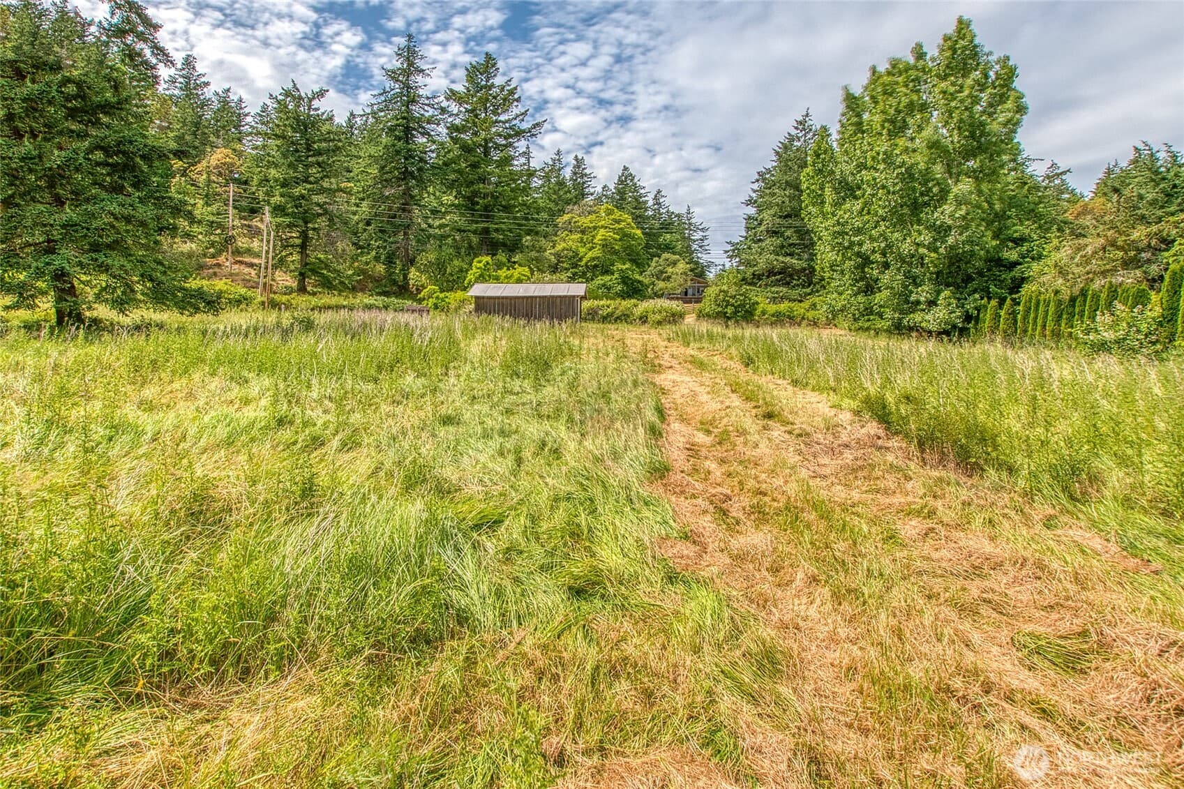 Property photo 31