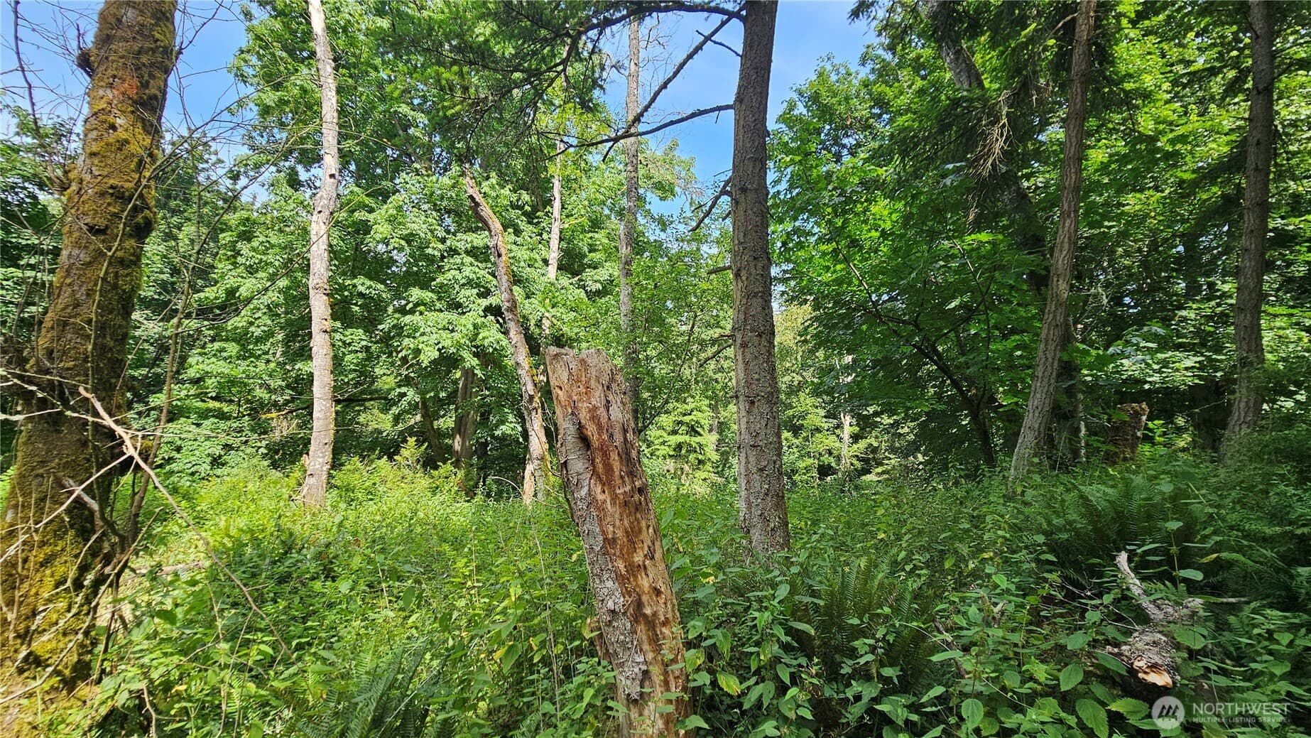 Property photo 22