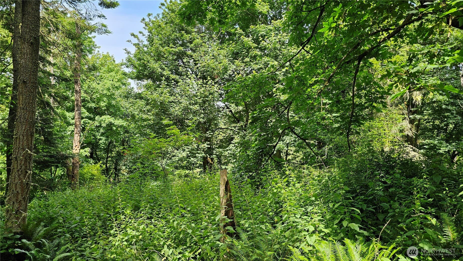 Property photo 24
