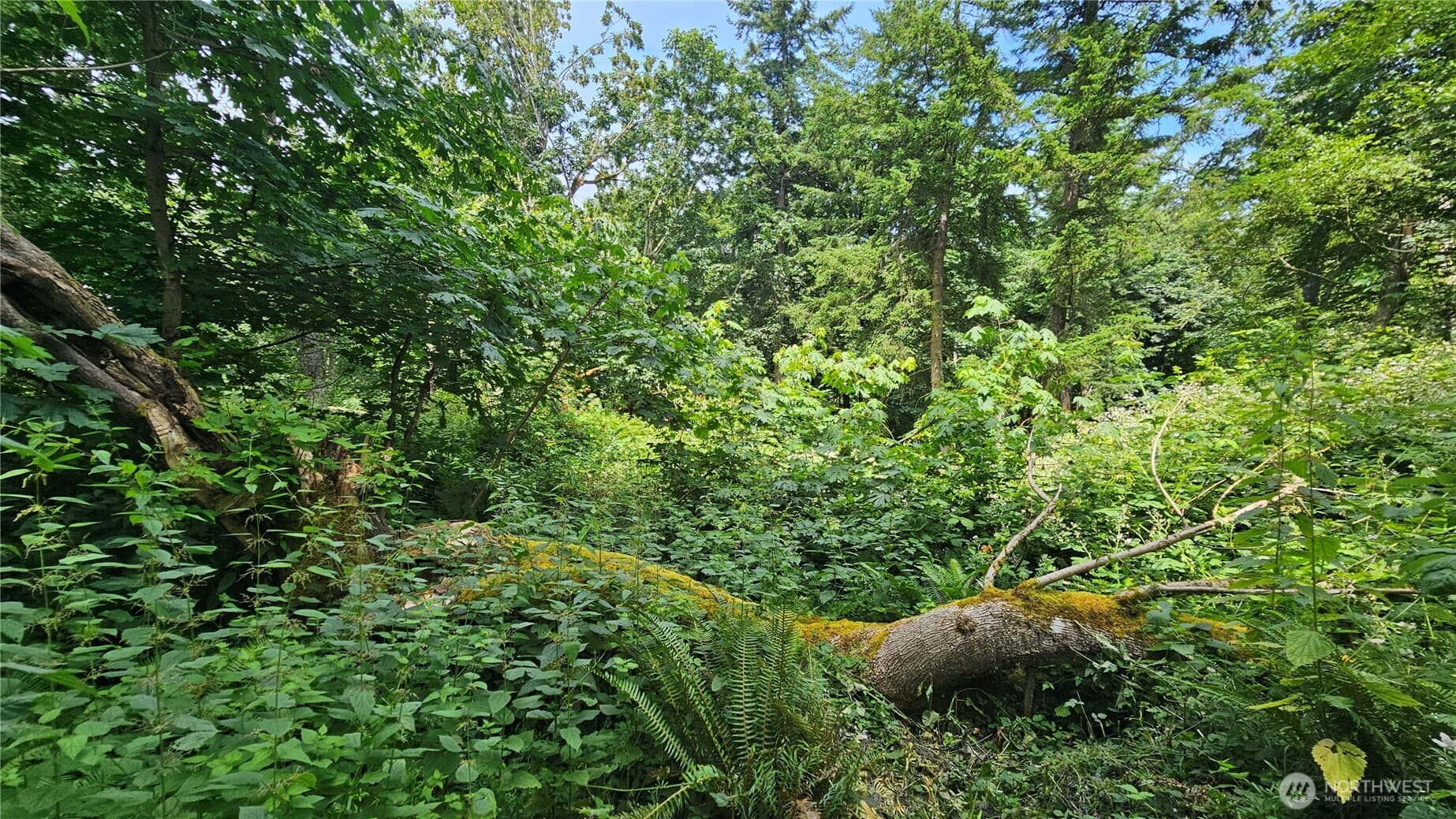 Property photo 29