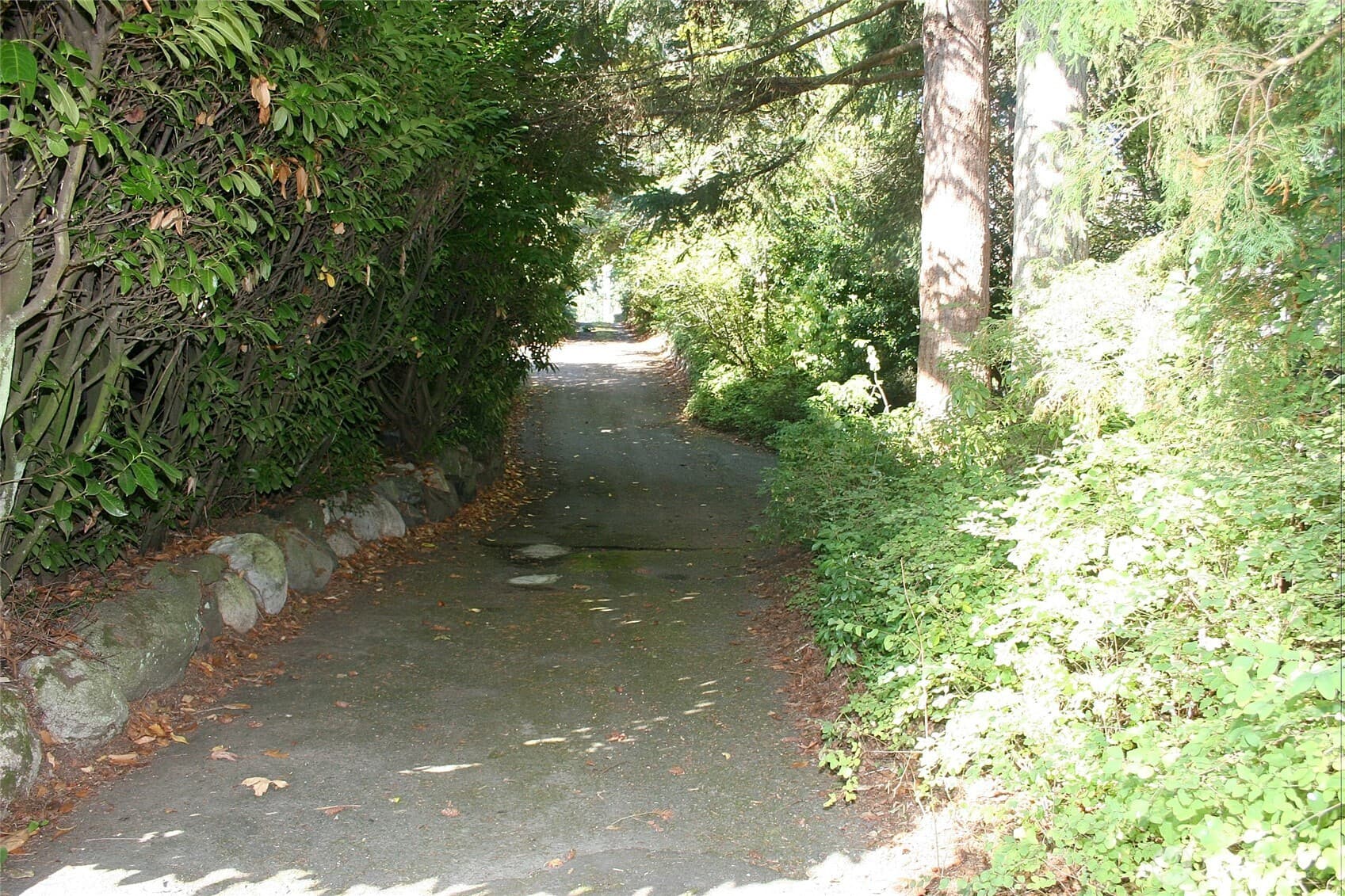 Property photo 40