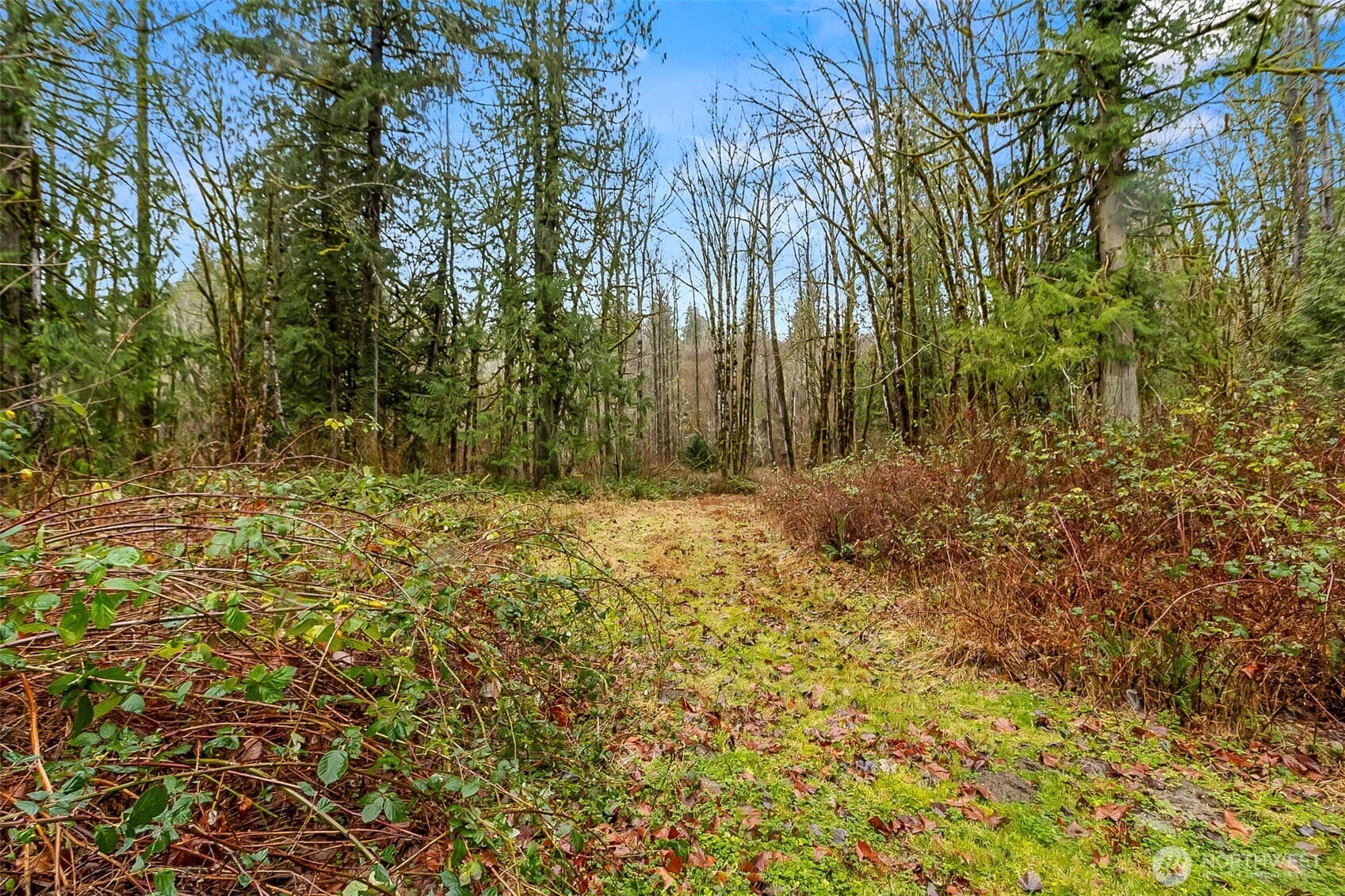 Property photo 21