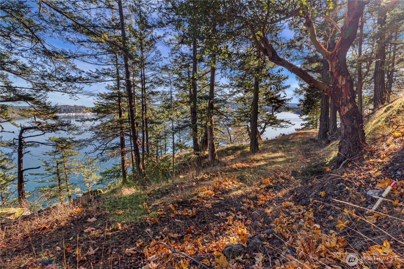 Property photo 24