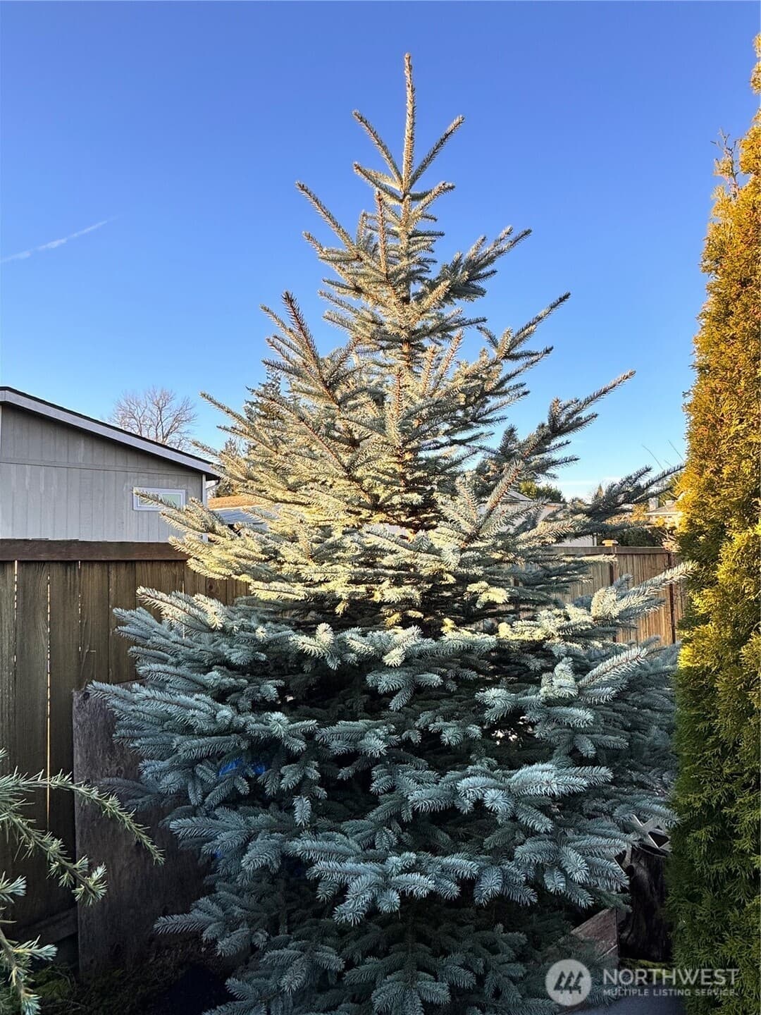 Property photo 35