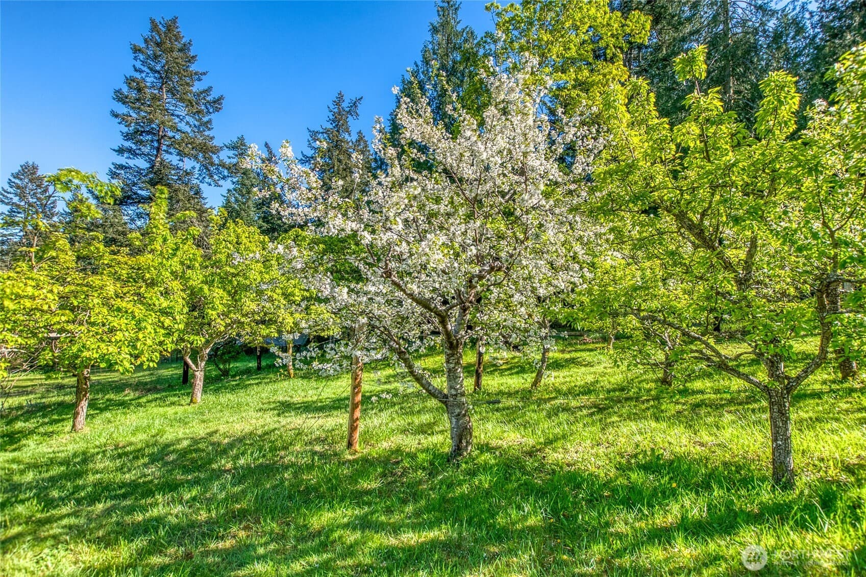 Property photo 34