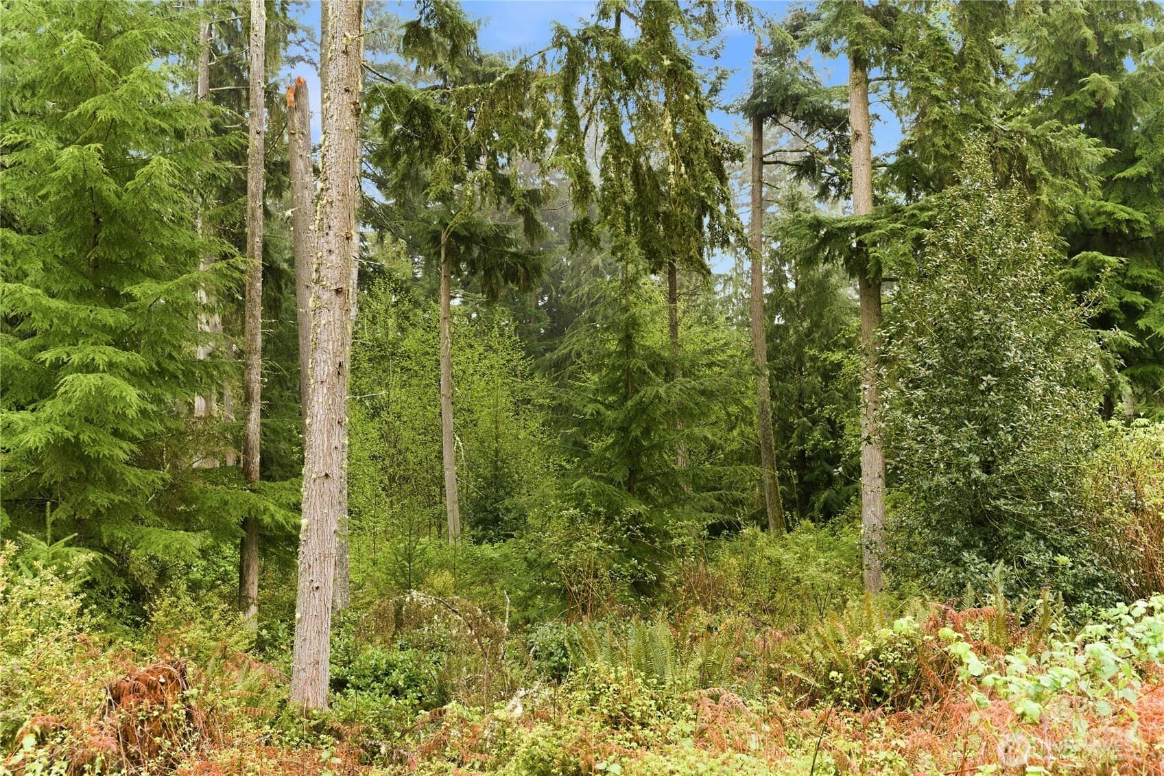 Property photo 30