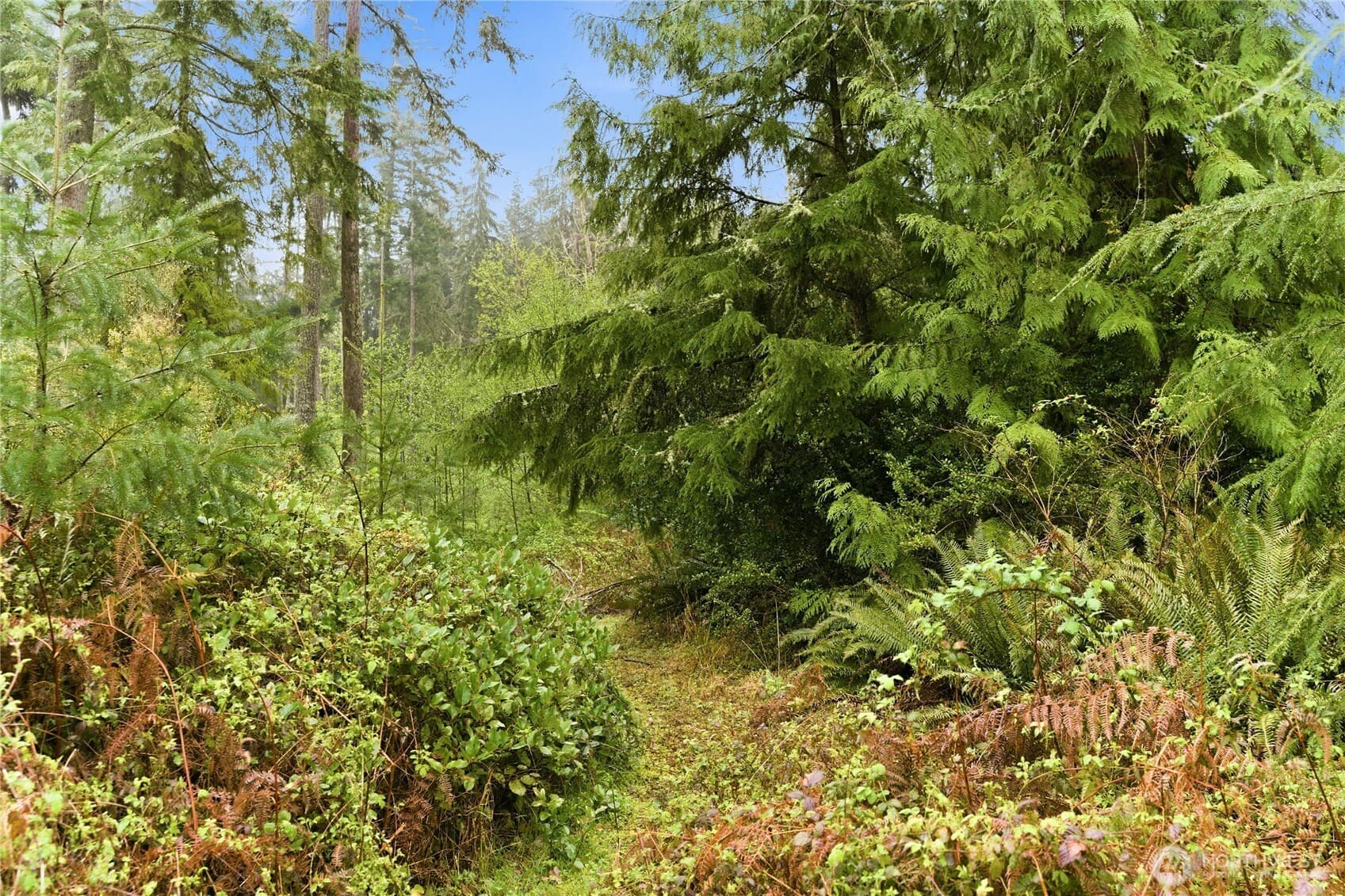 Property photo 33