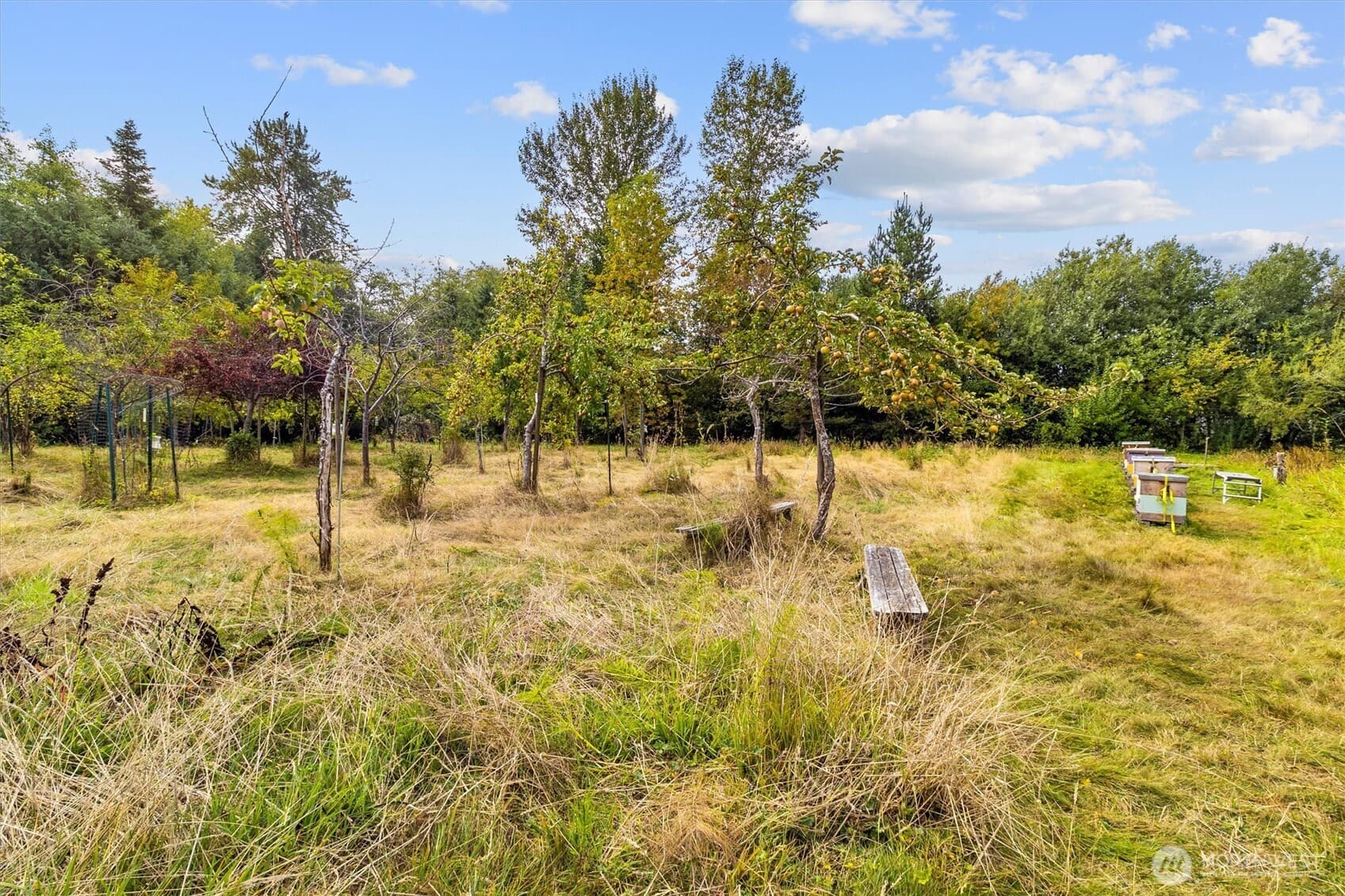 Property photo 39