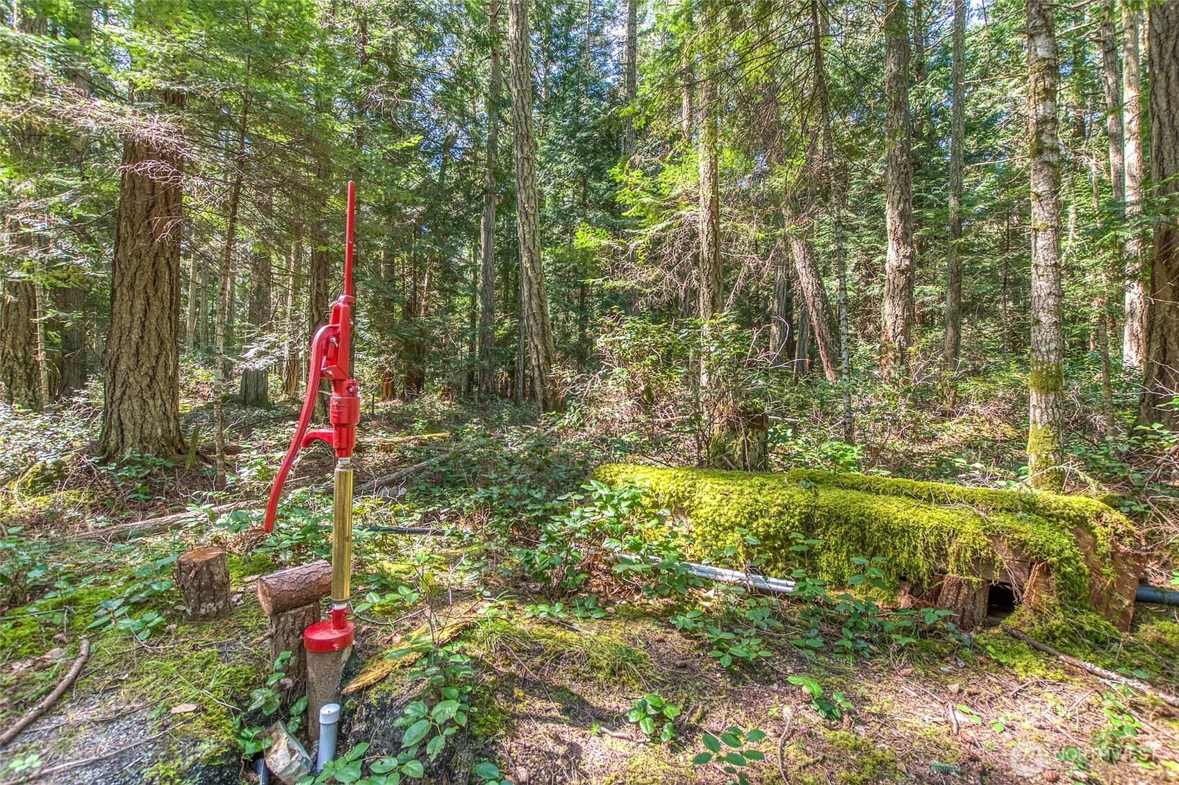 Property photo 27