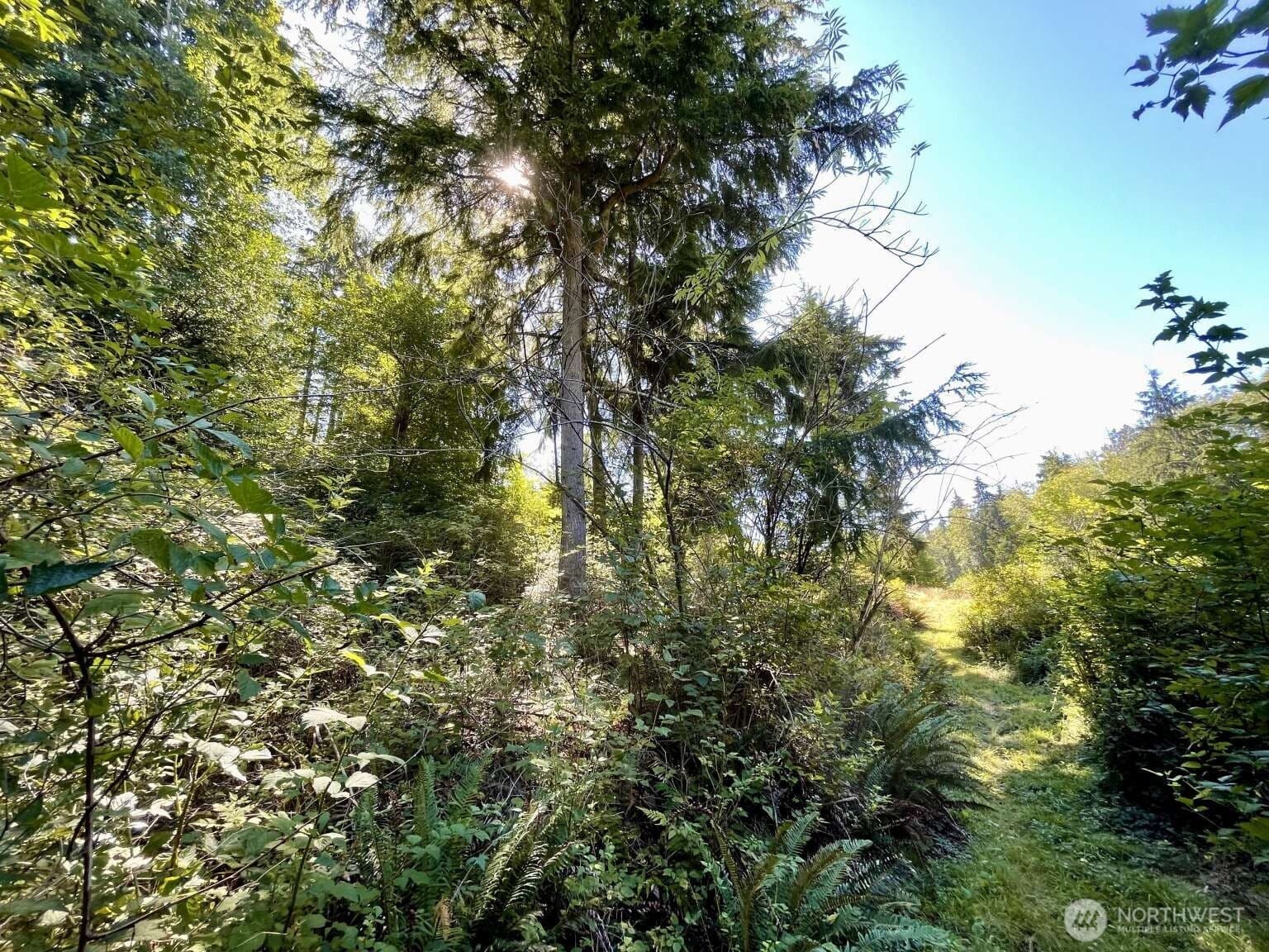 Property photo 35