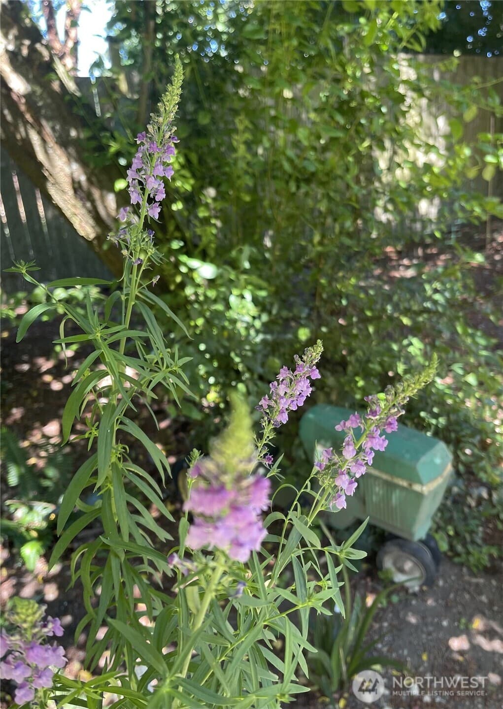 Property photo 31