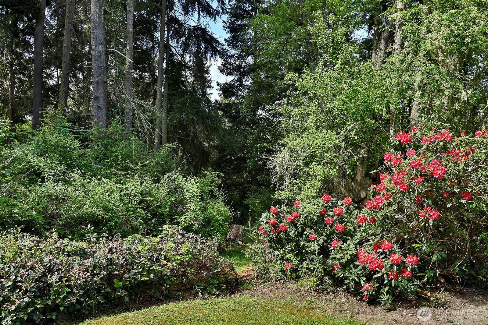 Property photo 27