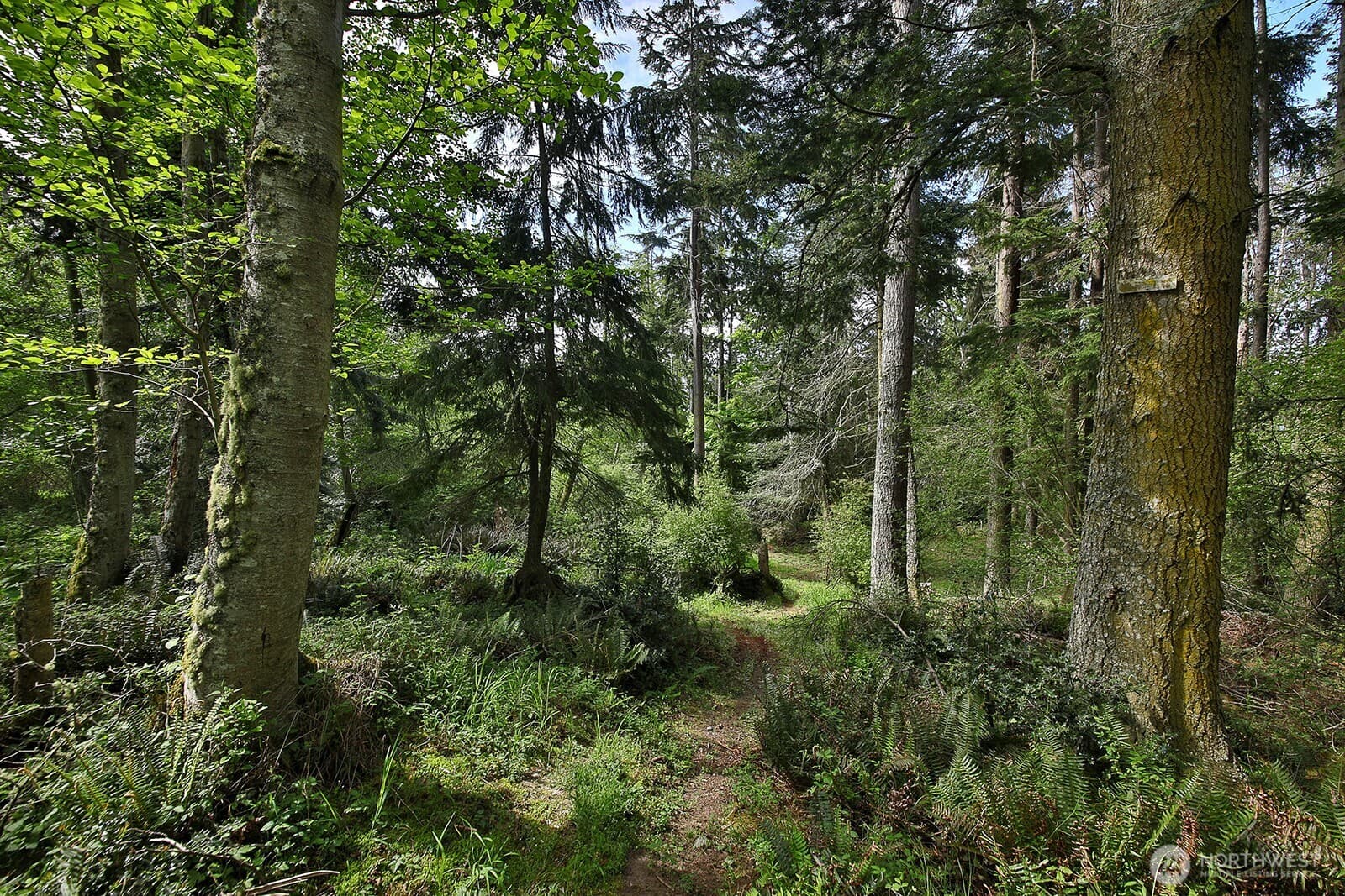Property photo 28