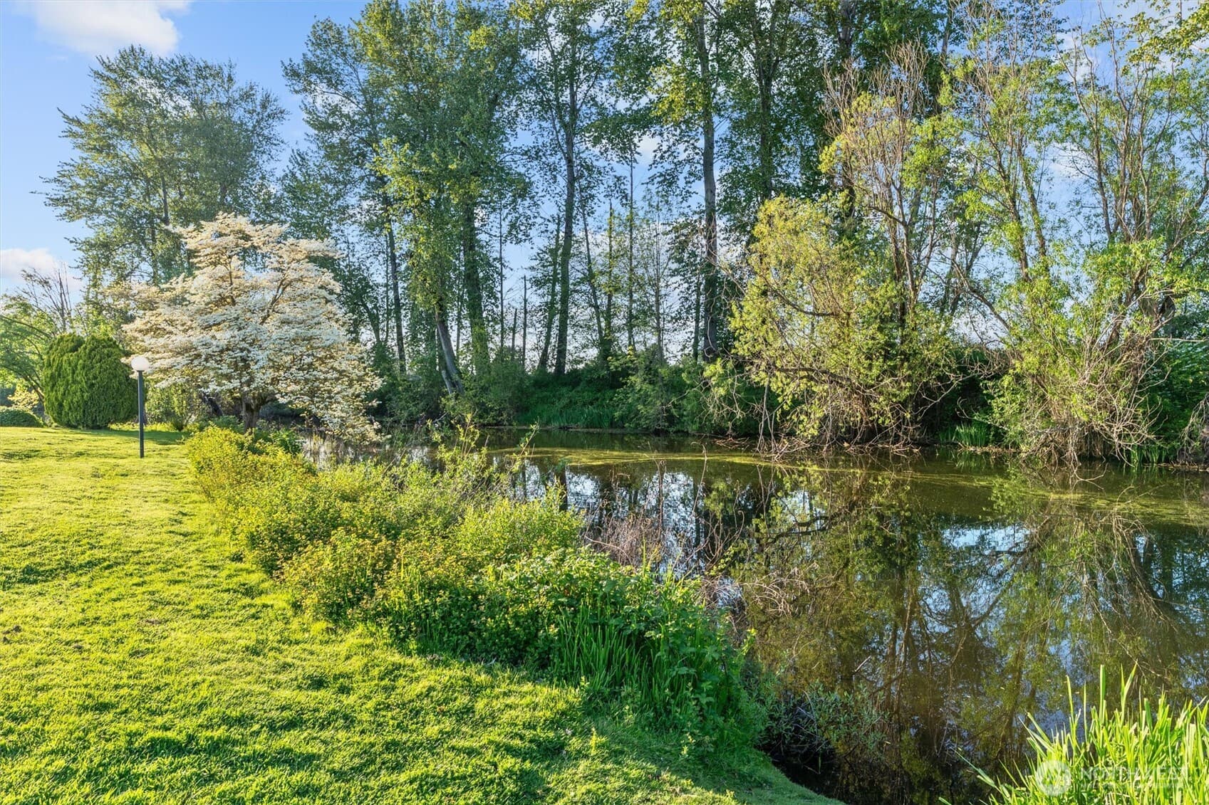Property photo 31