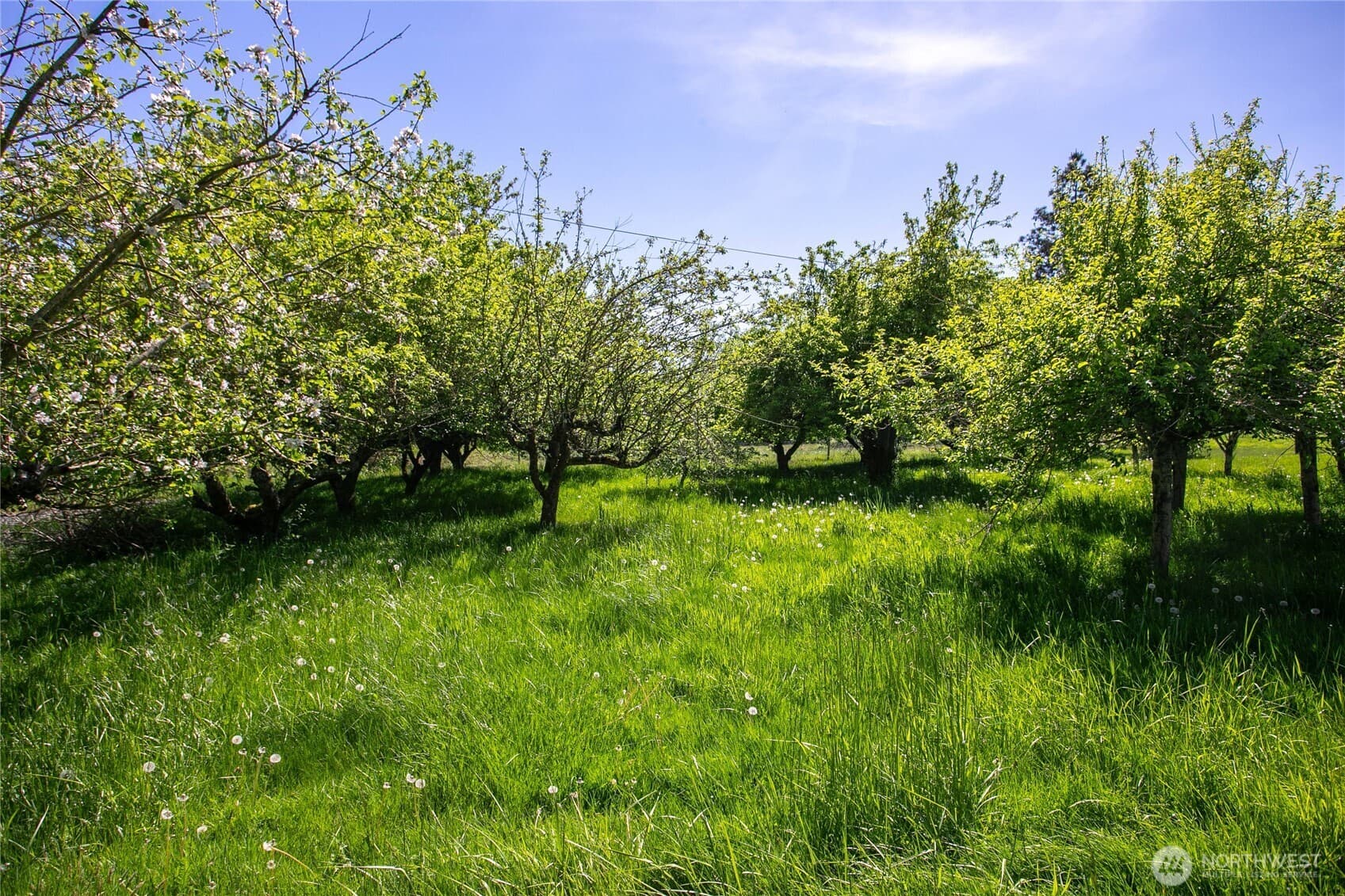 Property photo 32