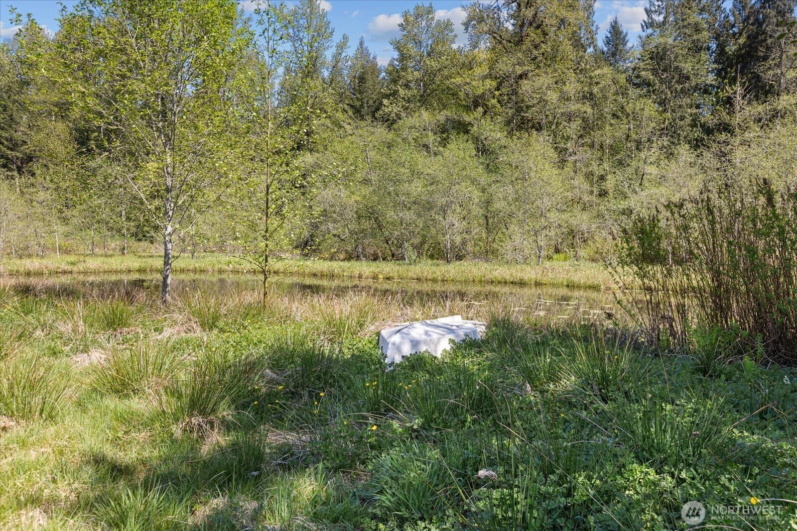 Property photo 36