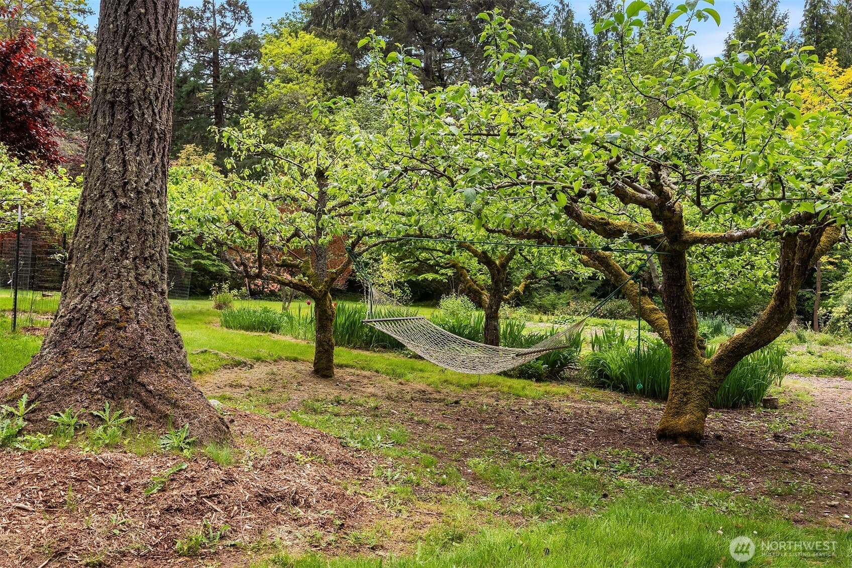 Property photo 34