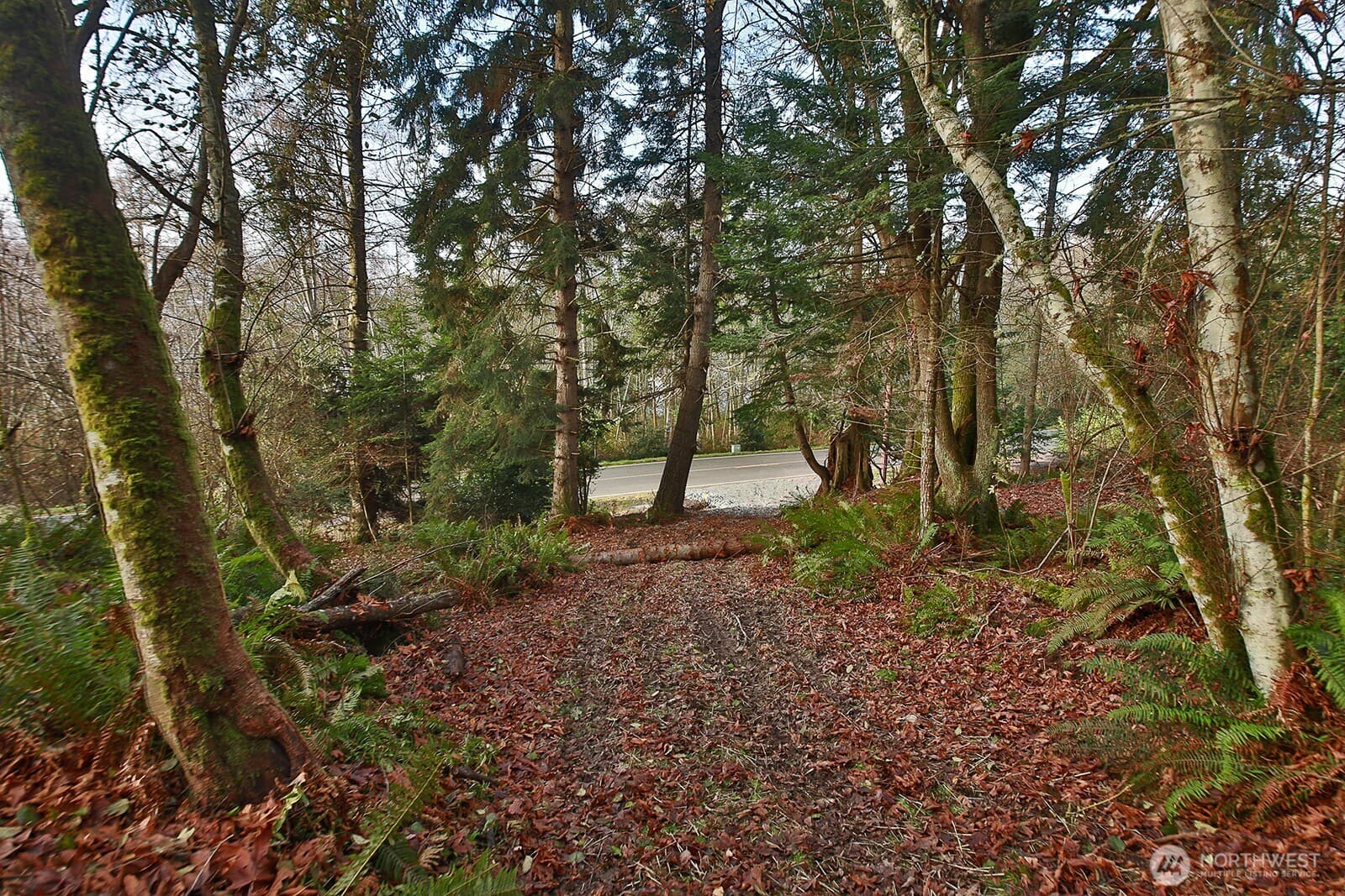 Property photo 21