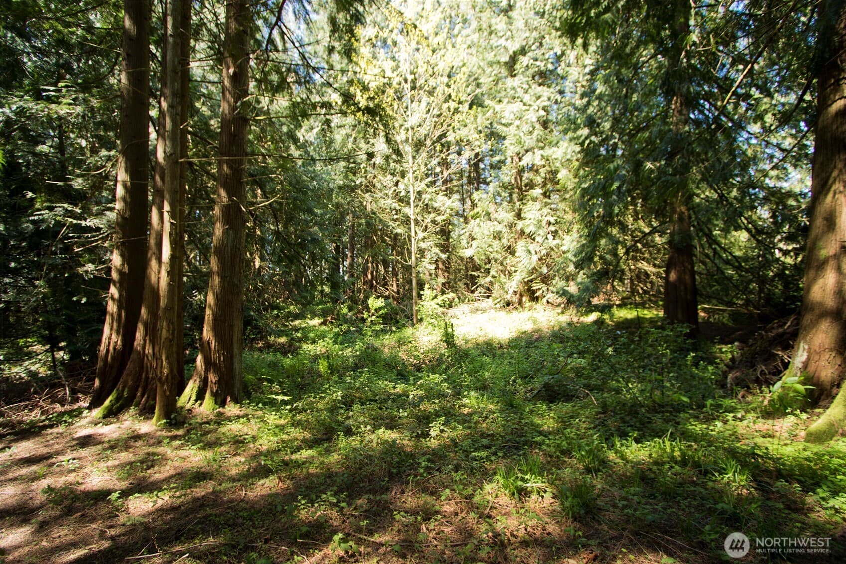 Property photo 40