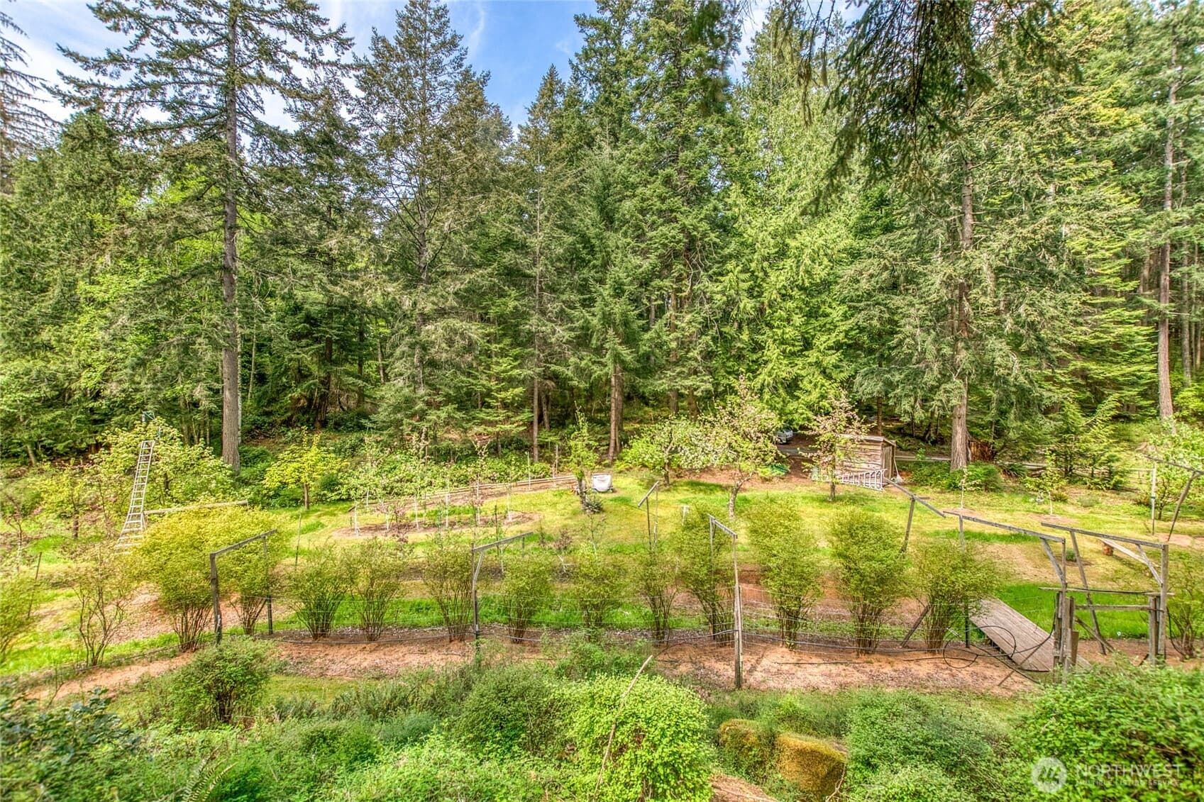 Property photo 21
