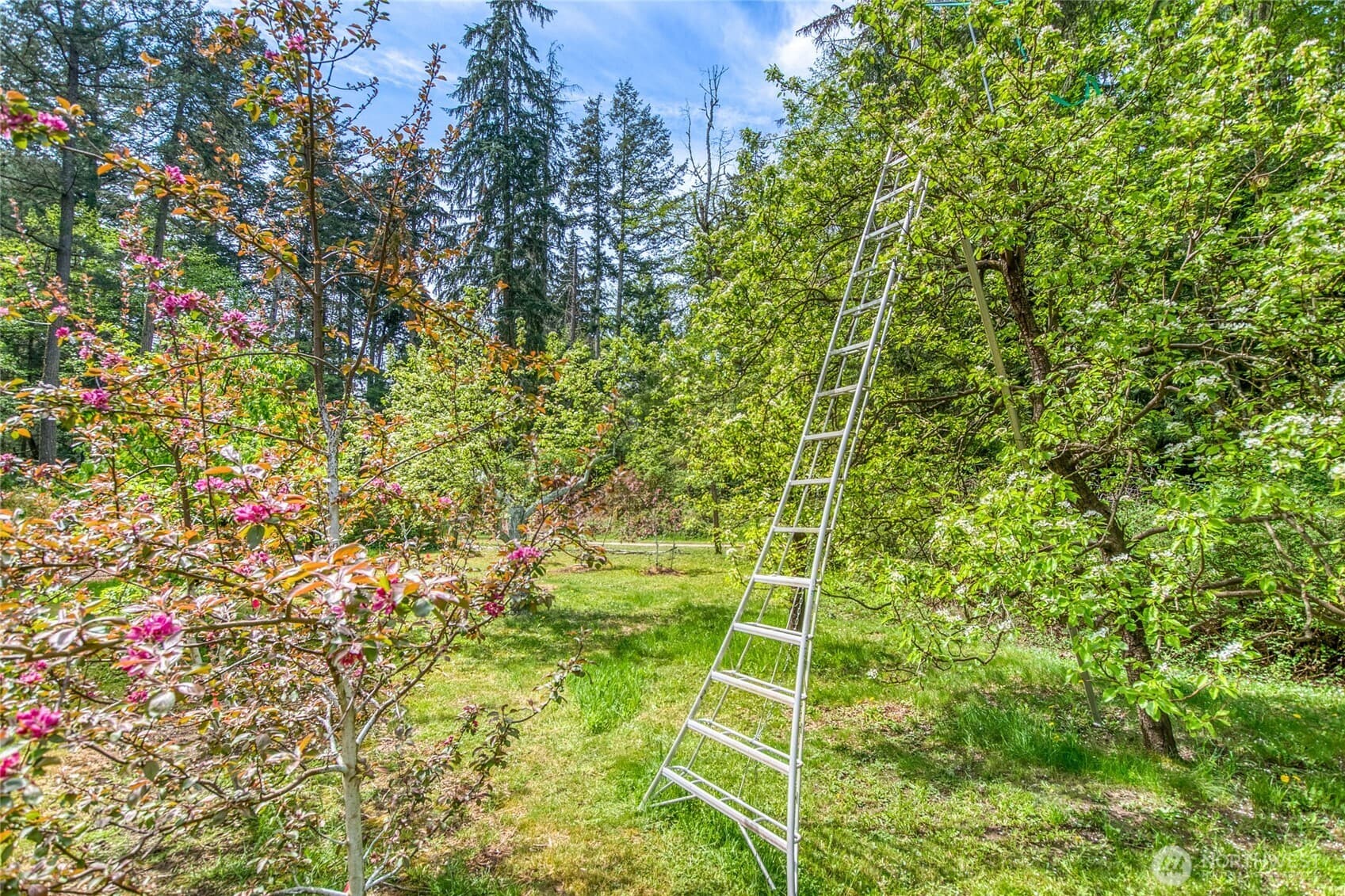 Property photo 24