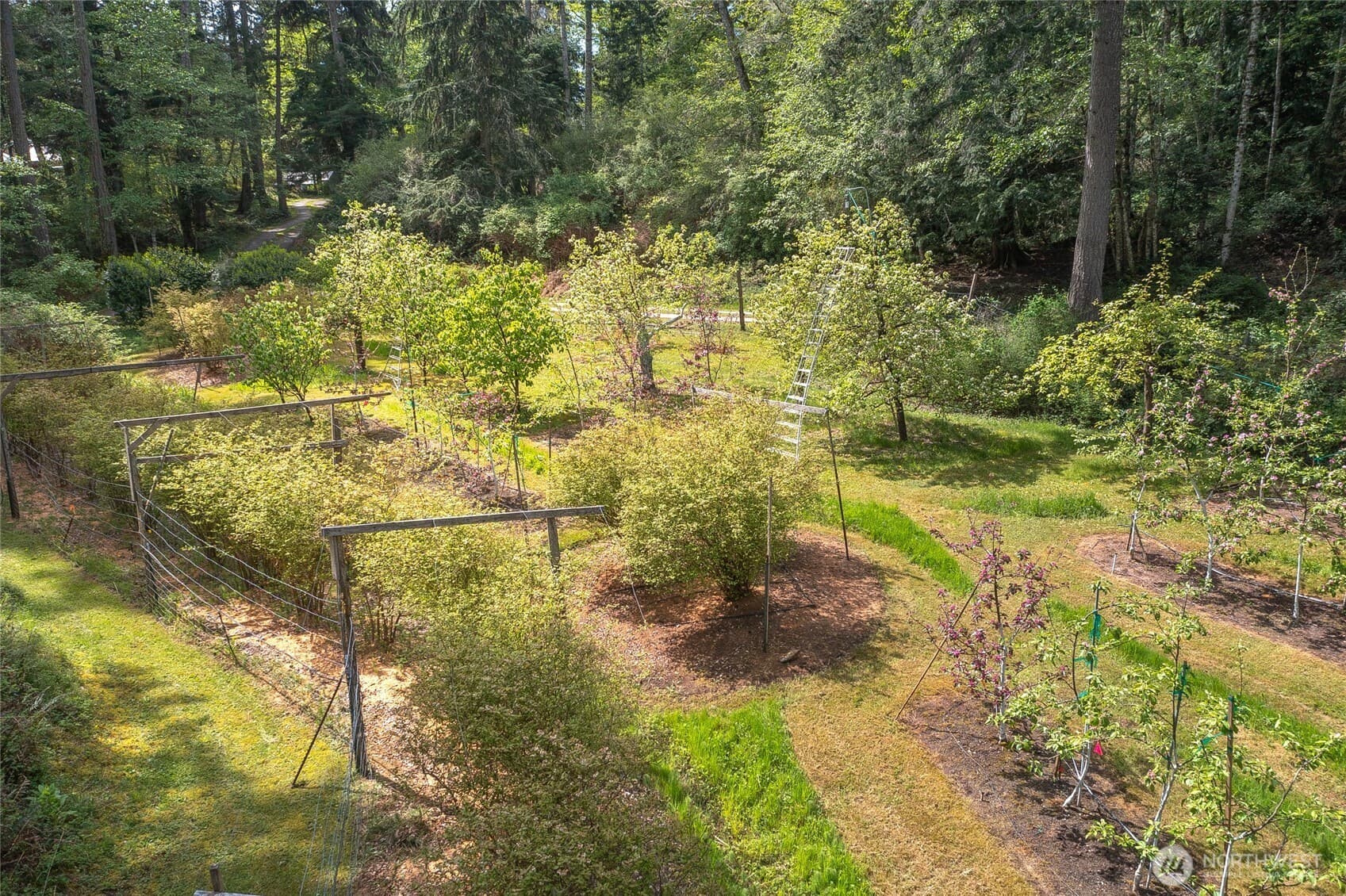 Property photo 32