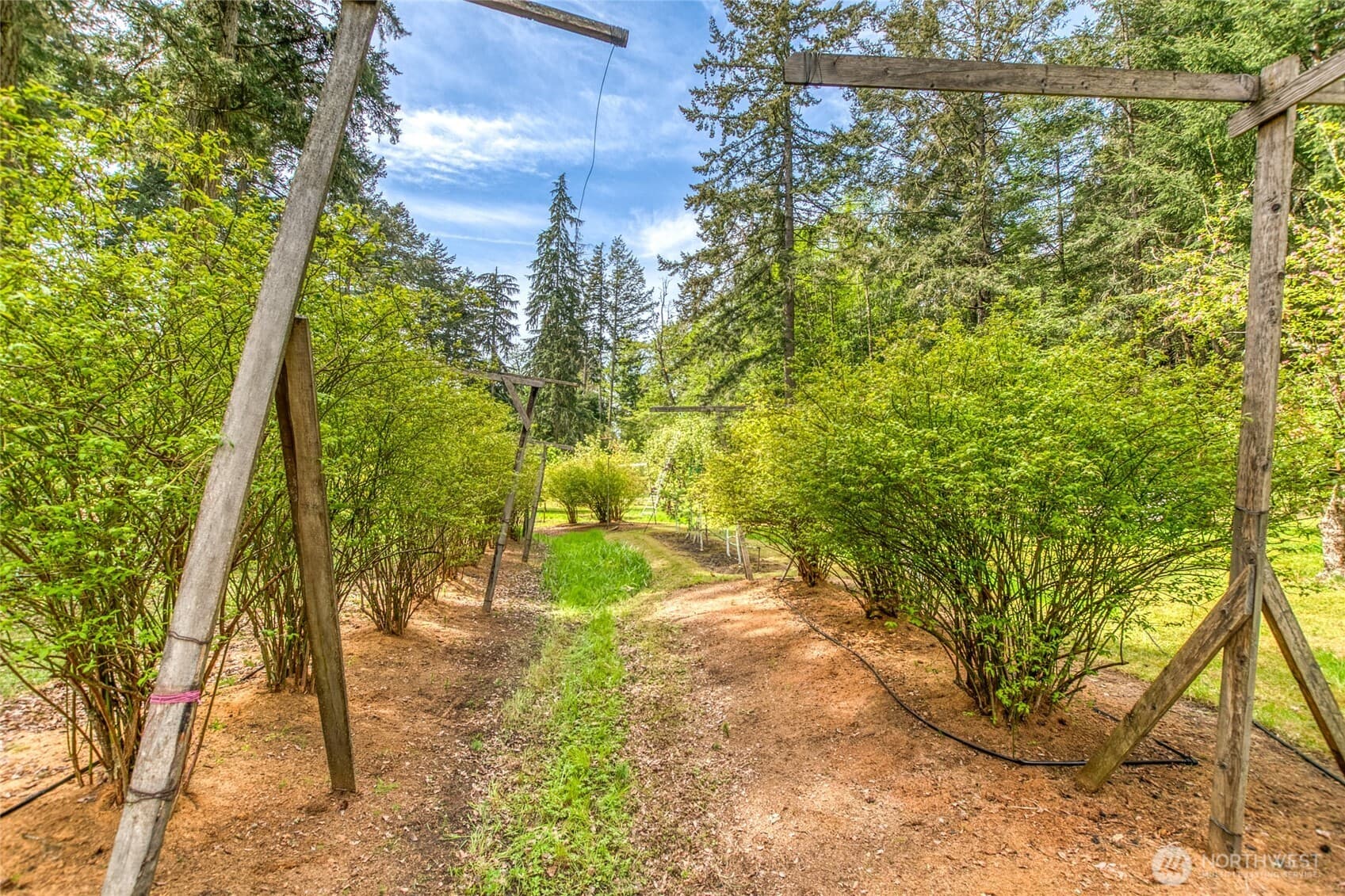 Property photo 22