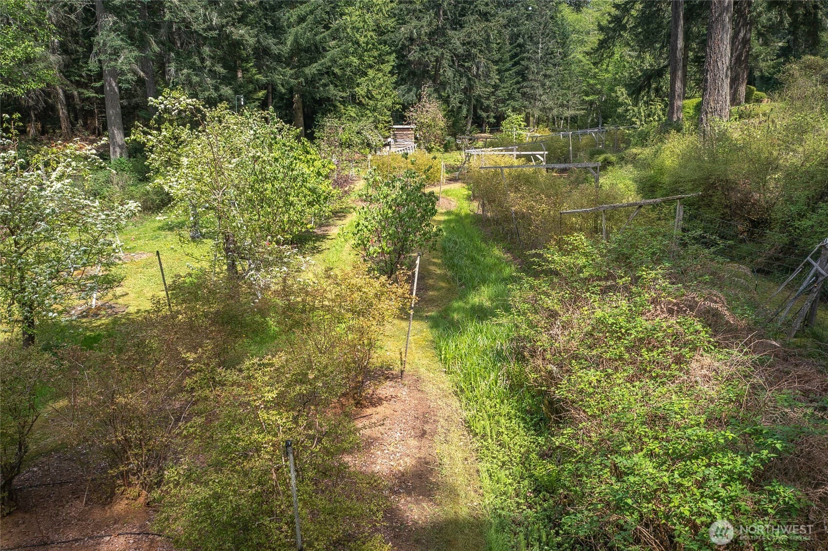 Property photo 31