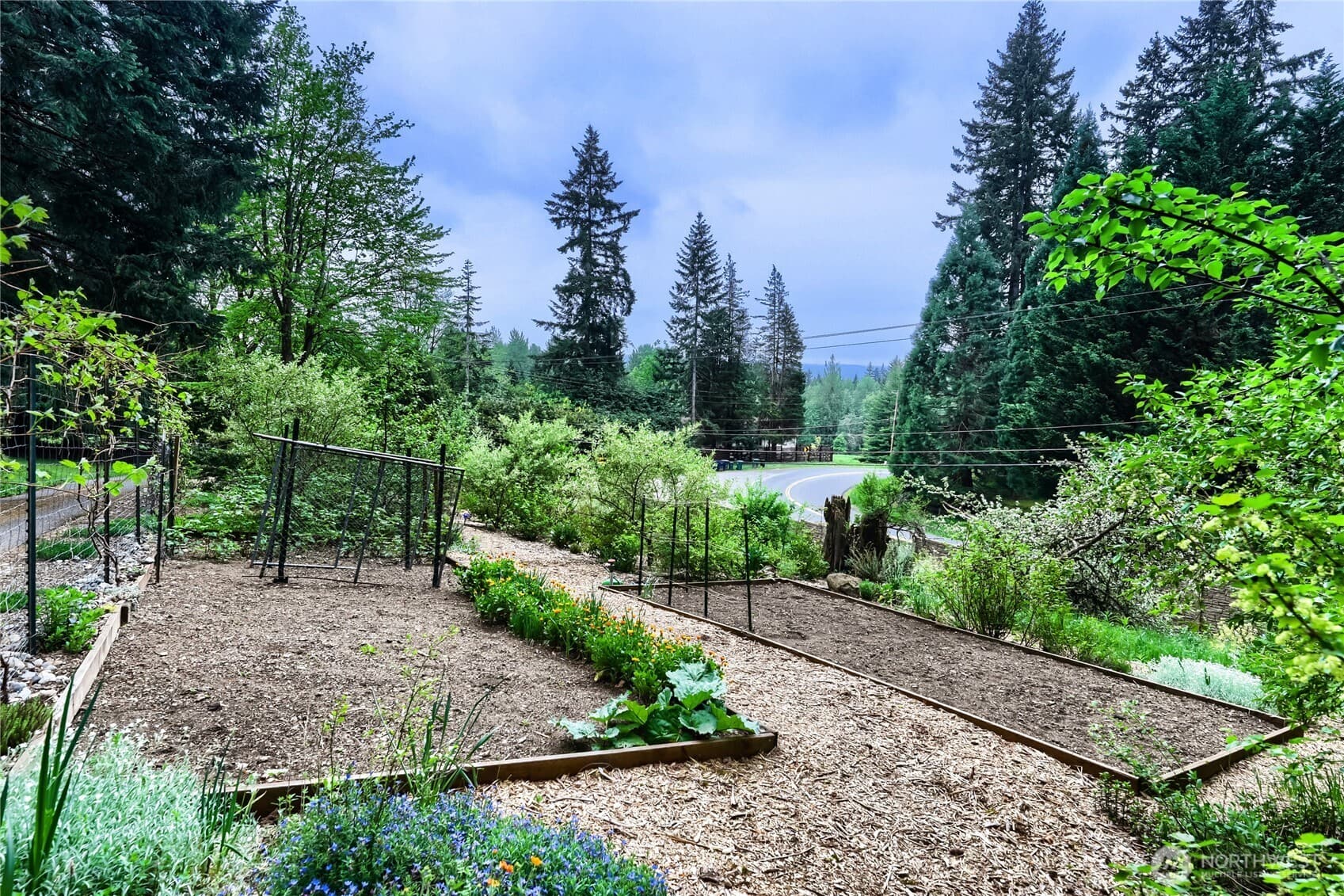 Property photo 40