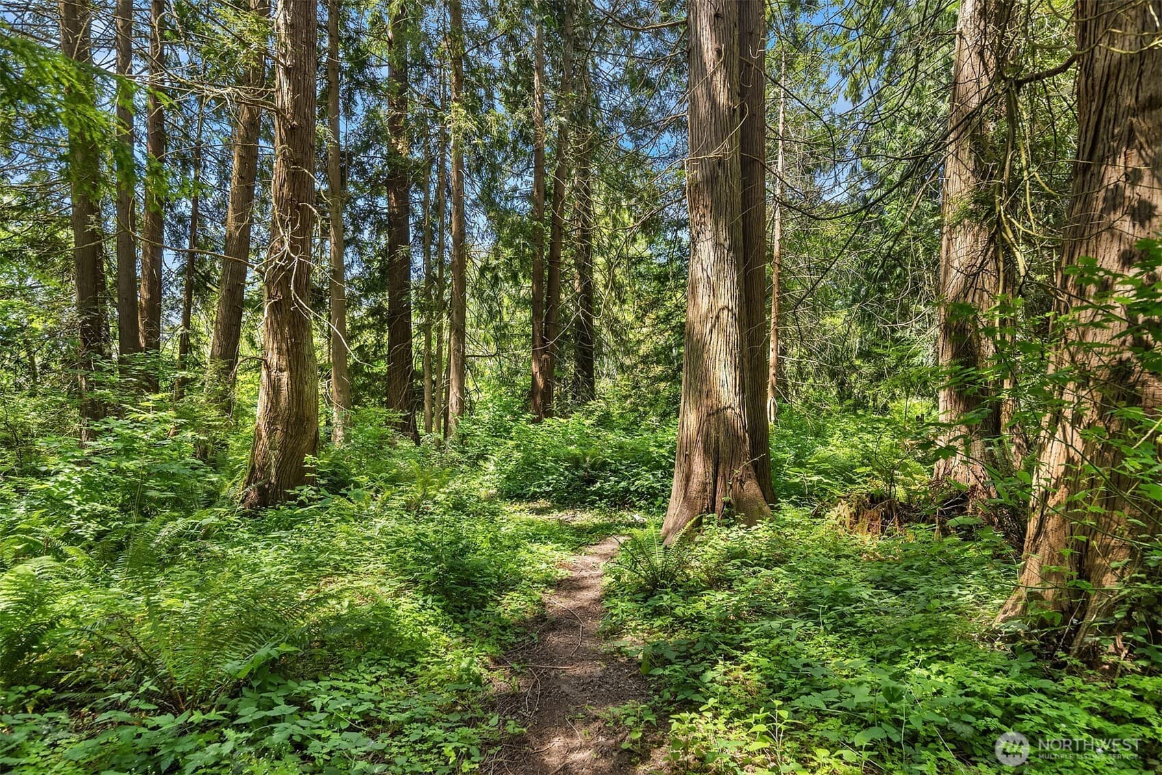 Property photo 37