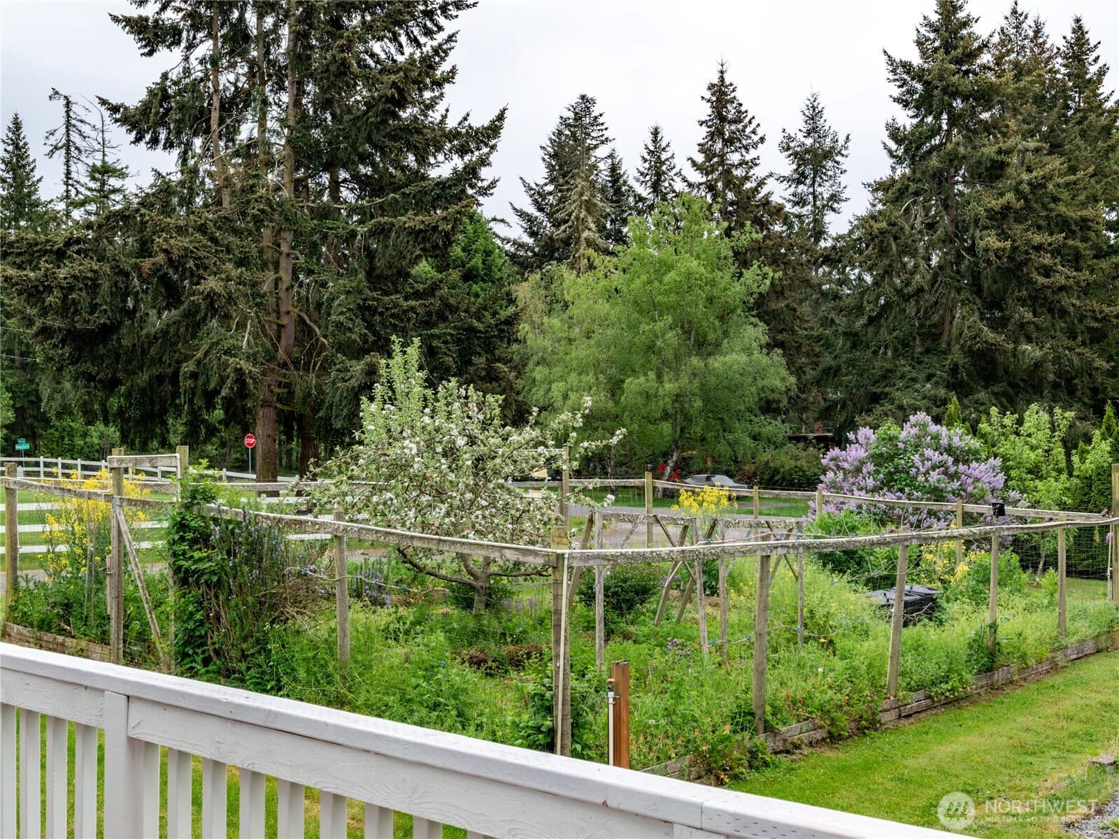 Property photo 24