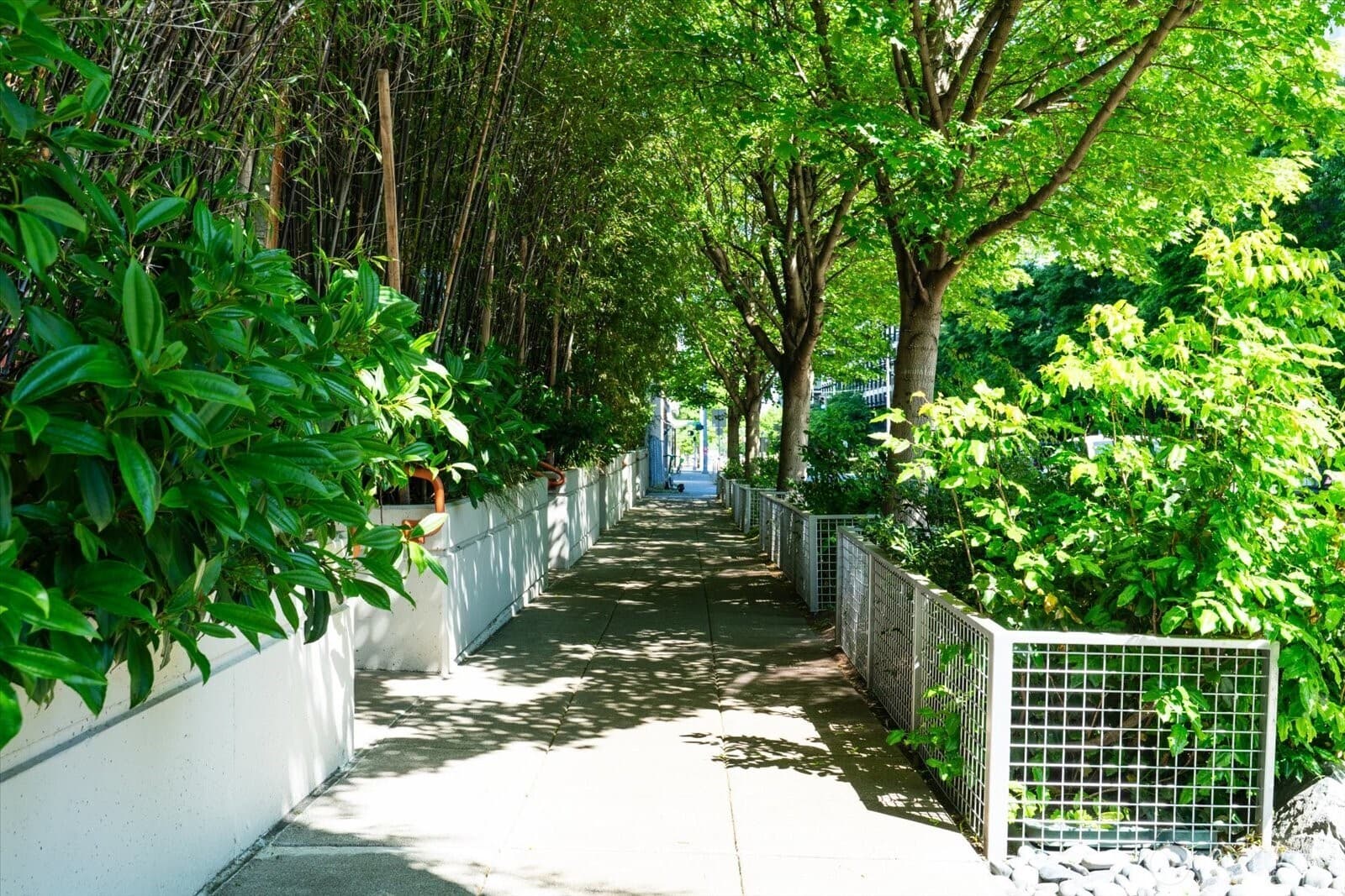 Property photo 24