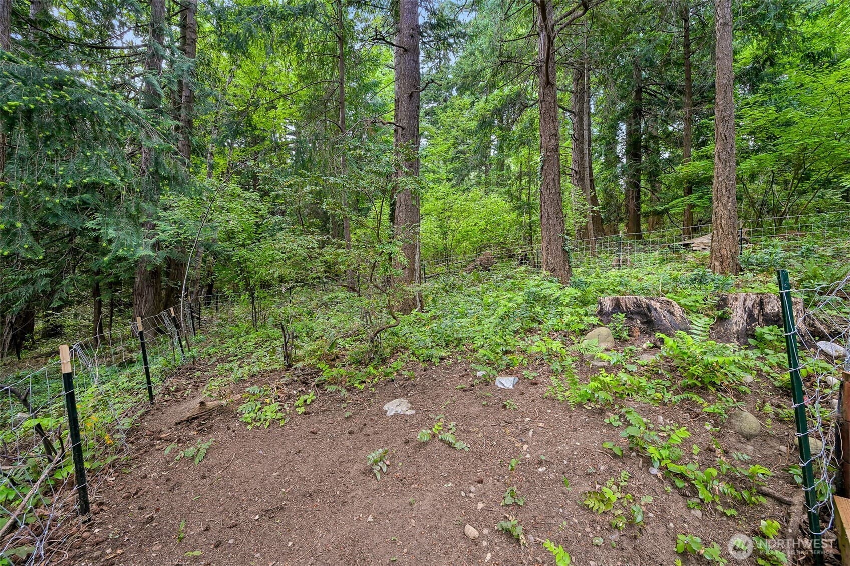 Property photo 39