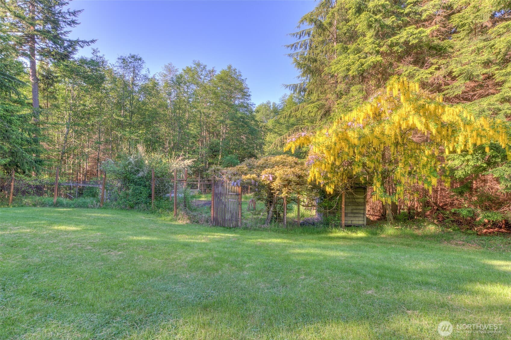 Property photo 40