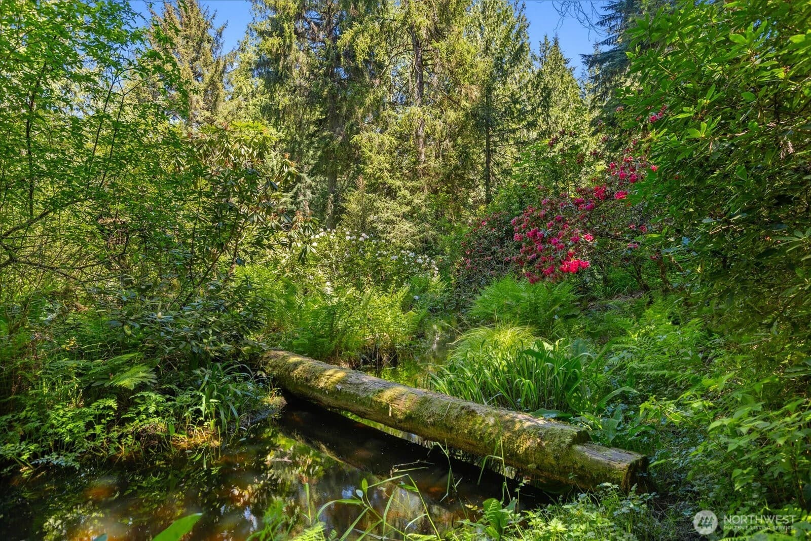 Property photo 31