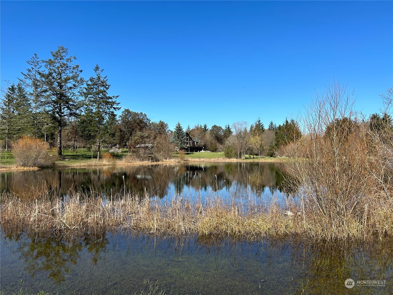 Property photo 39