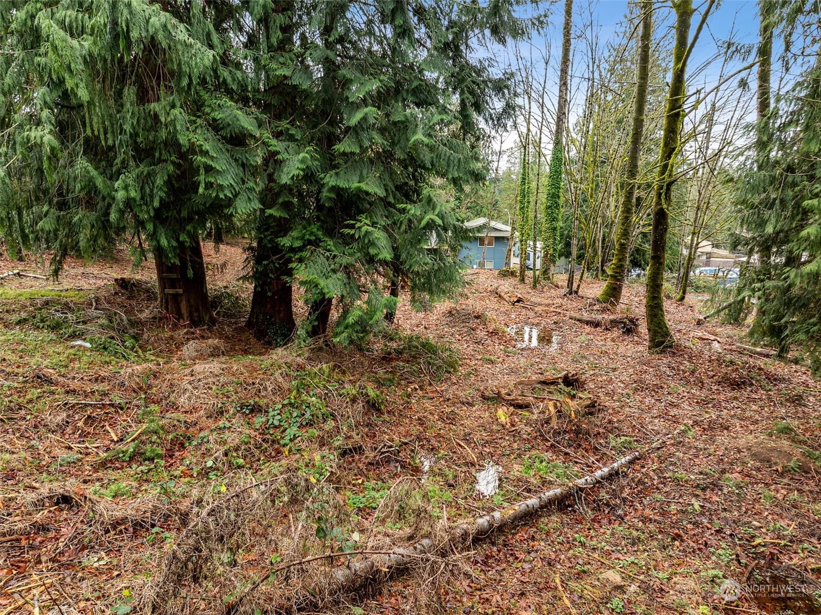 Property photo 23