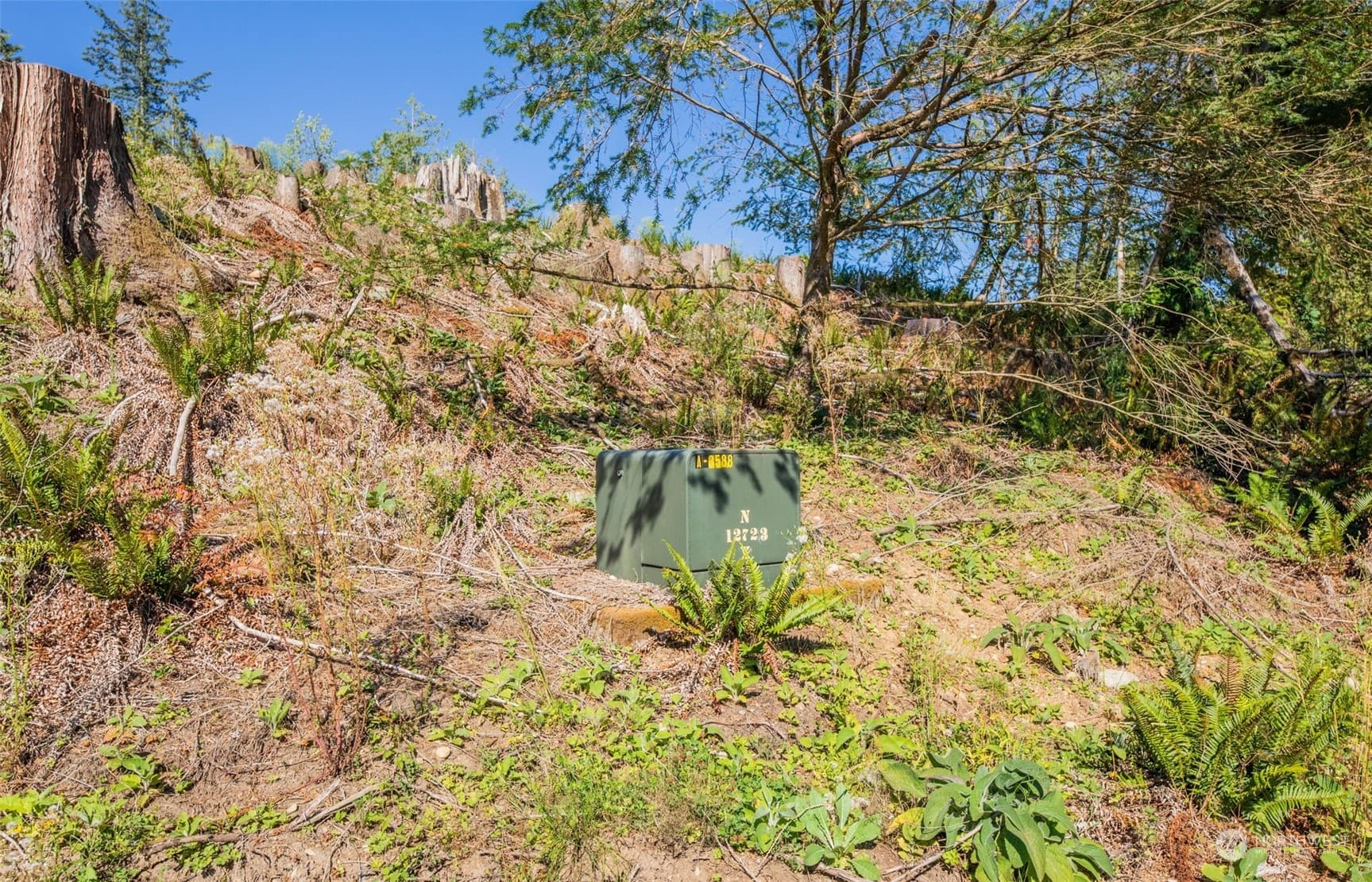 Property photo 19
