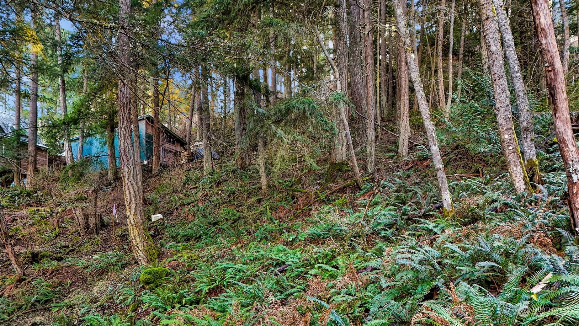 Property photo 29