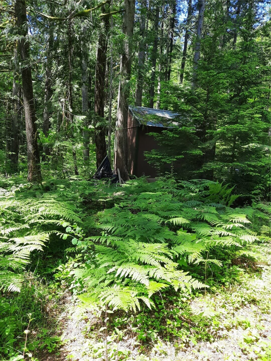 Property photo 18