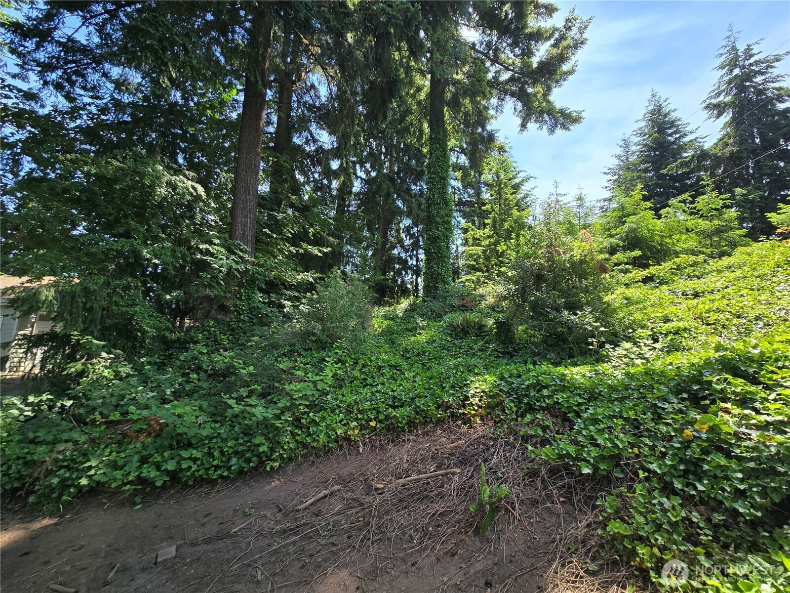 Property photo 19