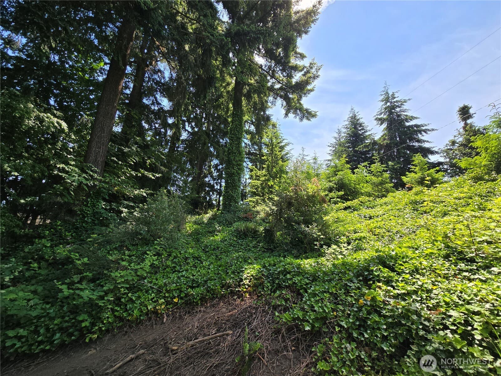 Property photo 20