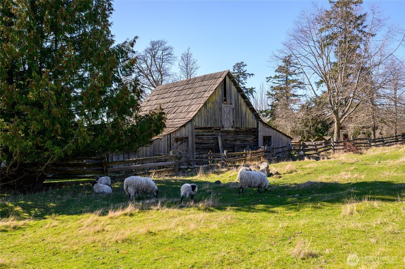 Property photo 36