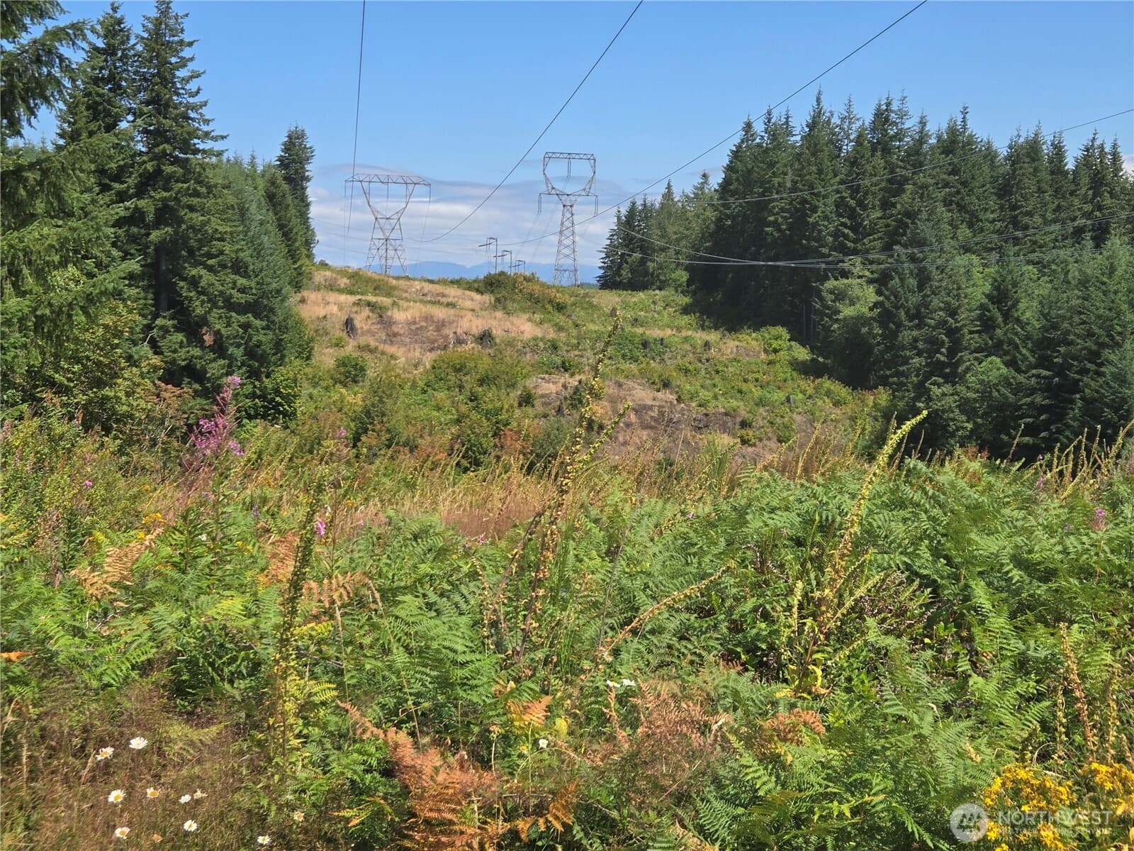 Property photo 28