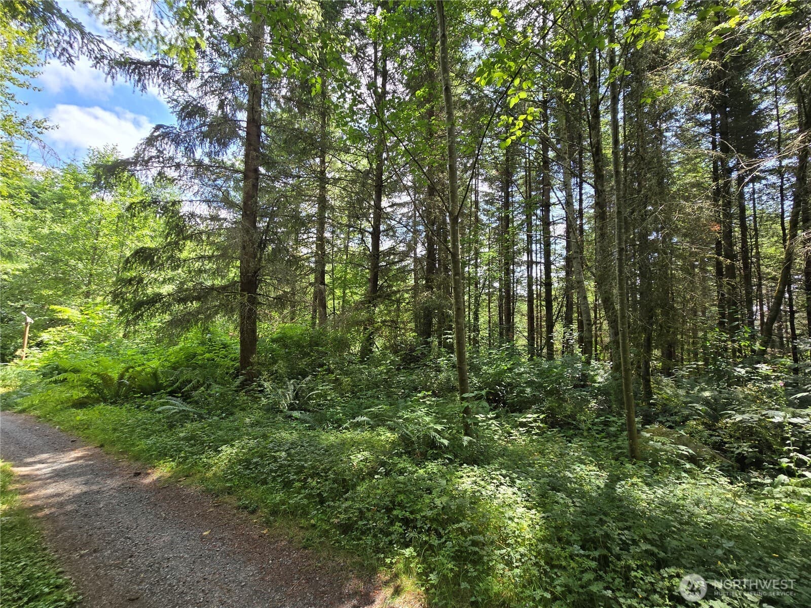 Property photo 35
