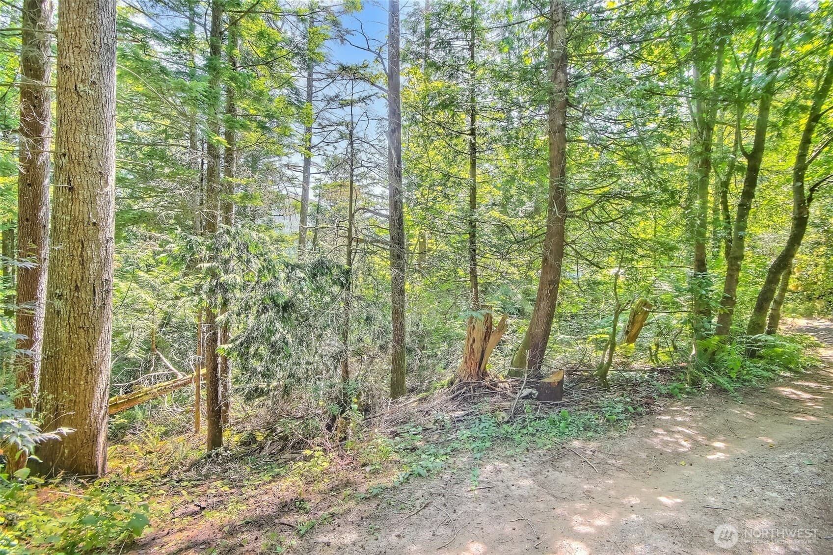 Property photo 24