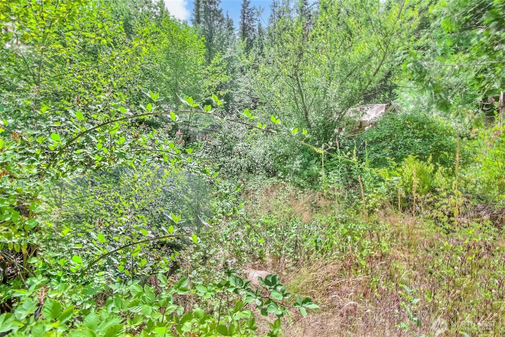 Property photo 38