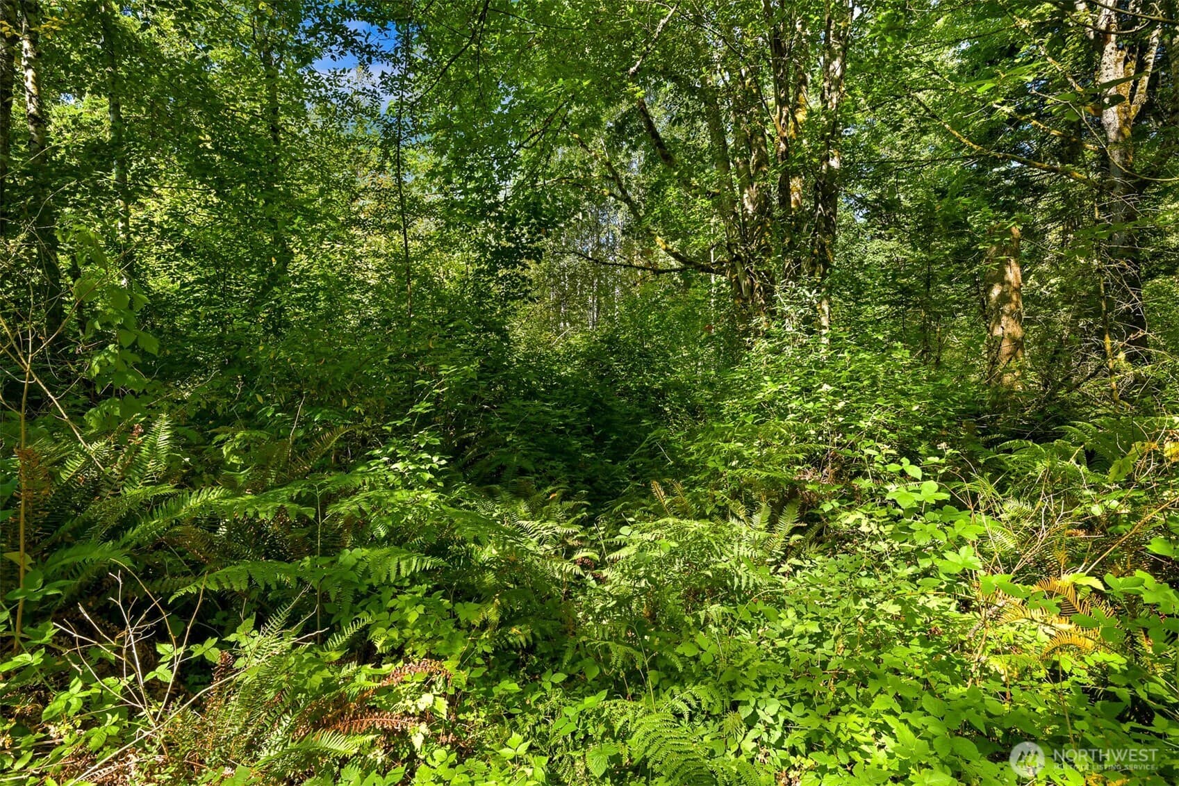 Property photo 27