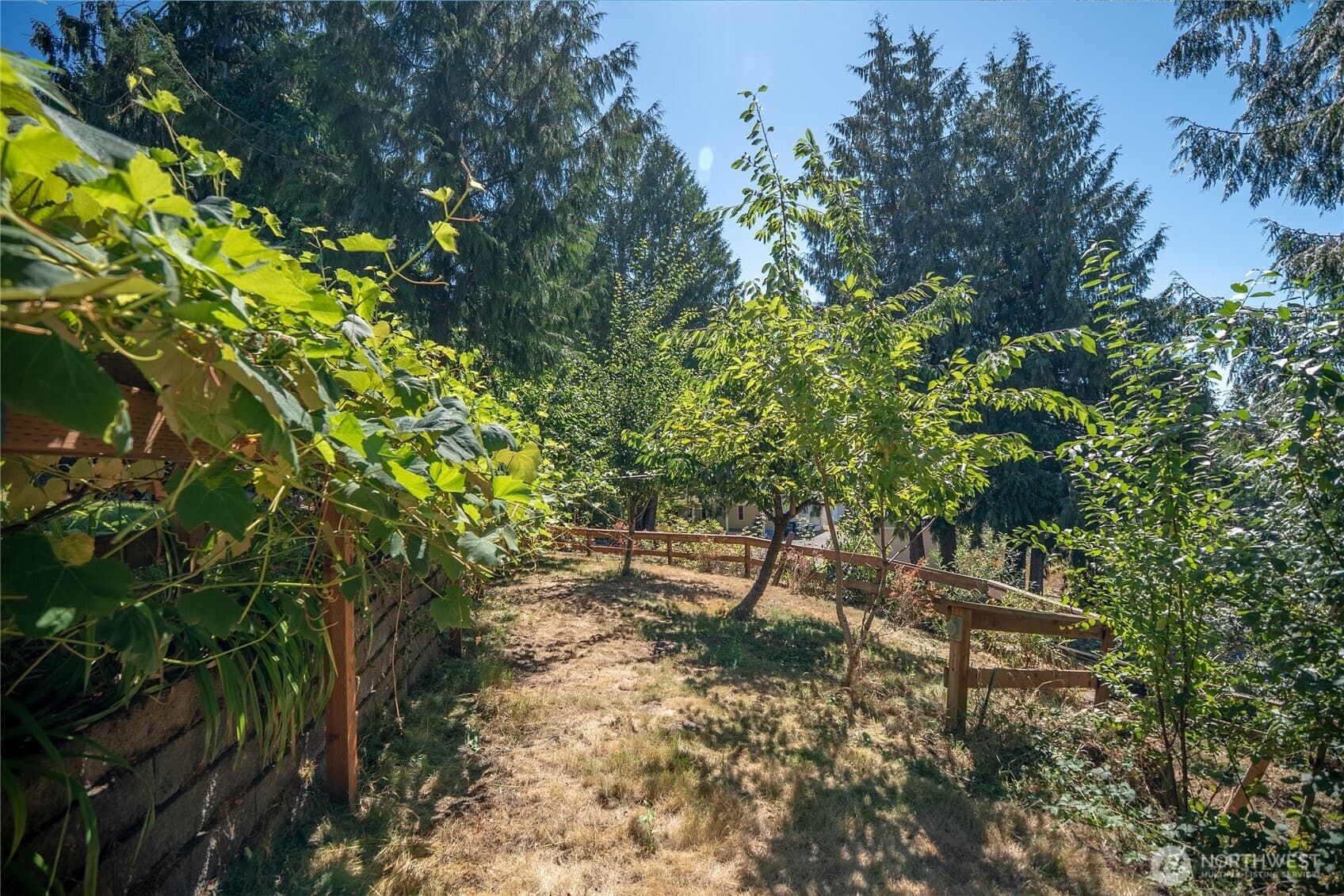 Property photo 37